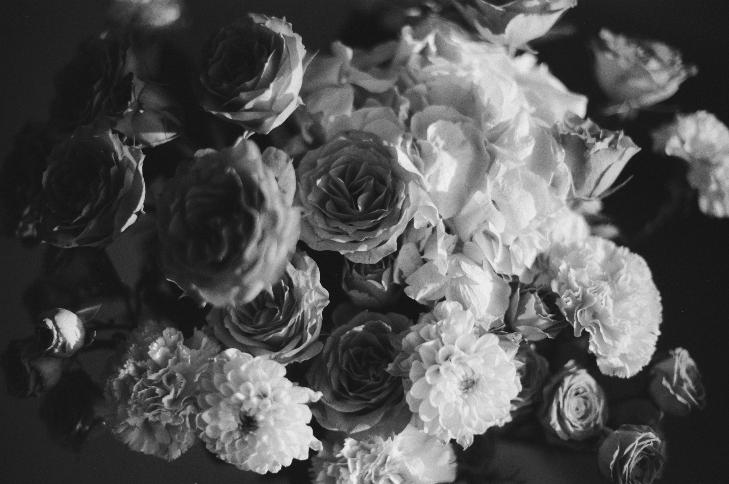 Black dog petersburg // st.-petersburg II. EVER EXPOSED