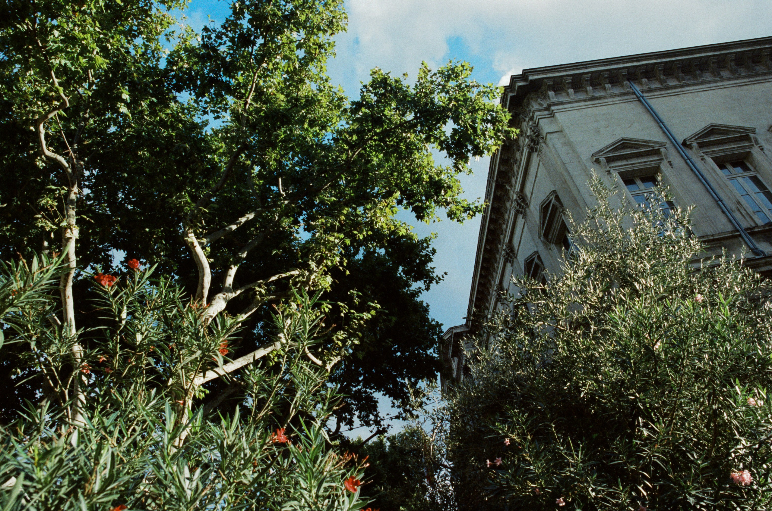 The contract // france, avignon. EVER EXPOSED