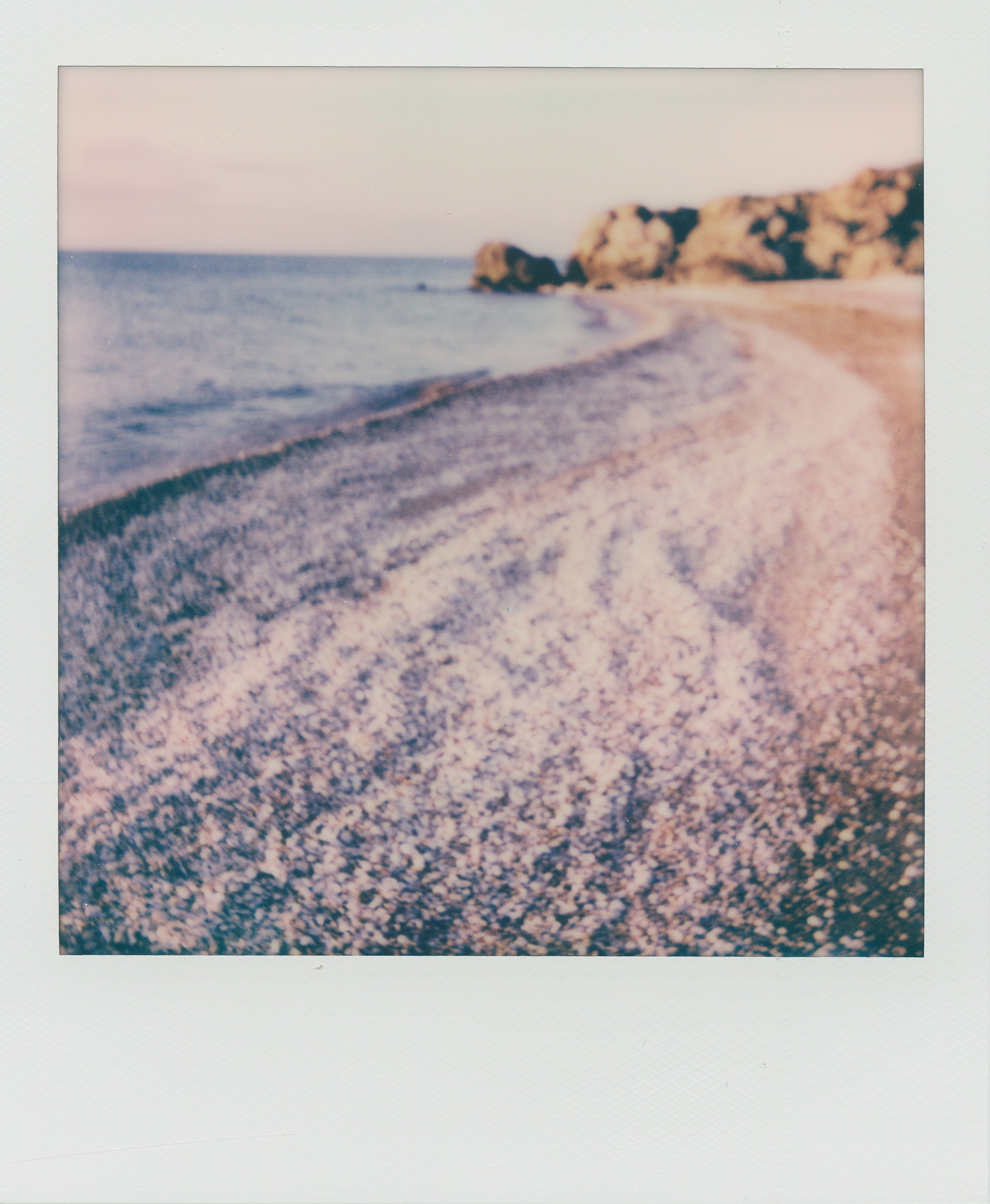 POLAROID. EVER EXPOSED