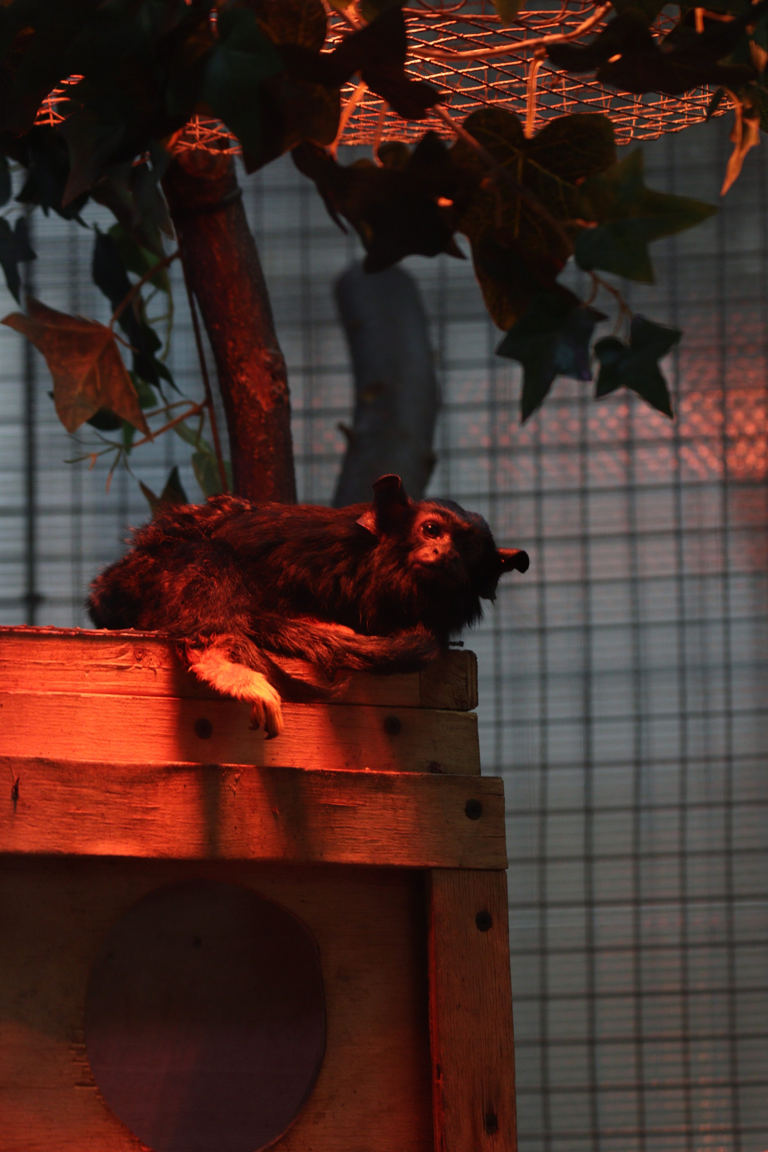 Р А З Н А Я — Ж И В Н О С Т Ь. — Digital Noise —