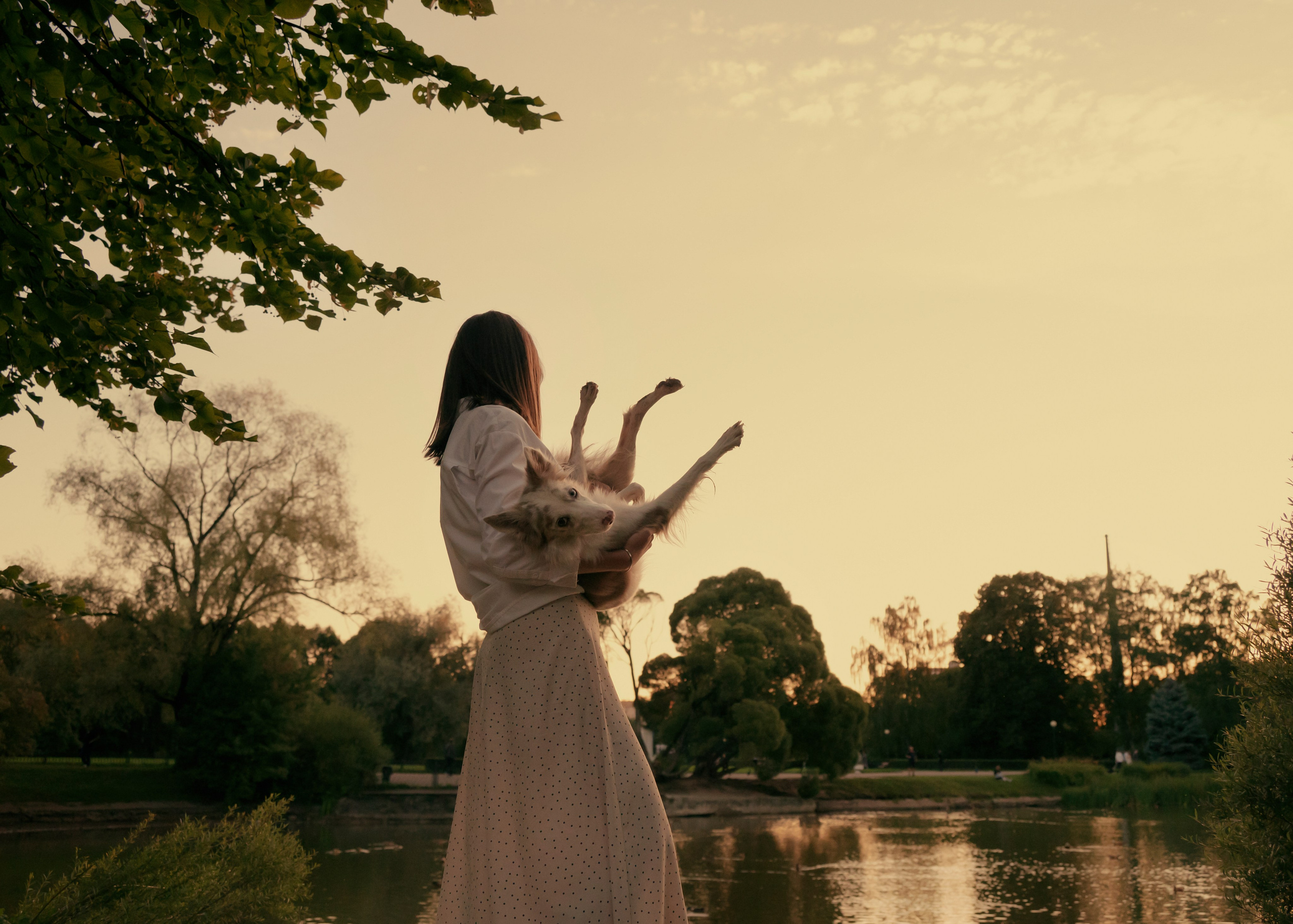 Вэй. Фотограф- анималист Александра Матвеева