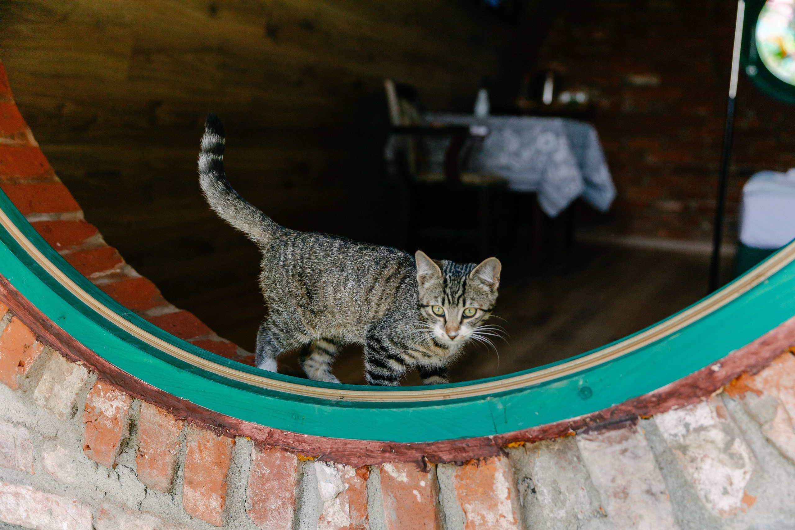 Съёмка объекта недвижимости Хутор Нёттникен. Свадебный, семейный и детский фотограф в Калининграде Елена Кравцова