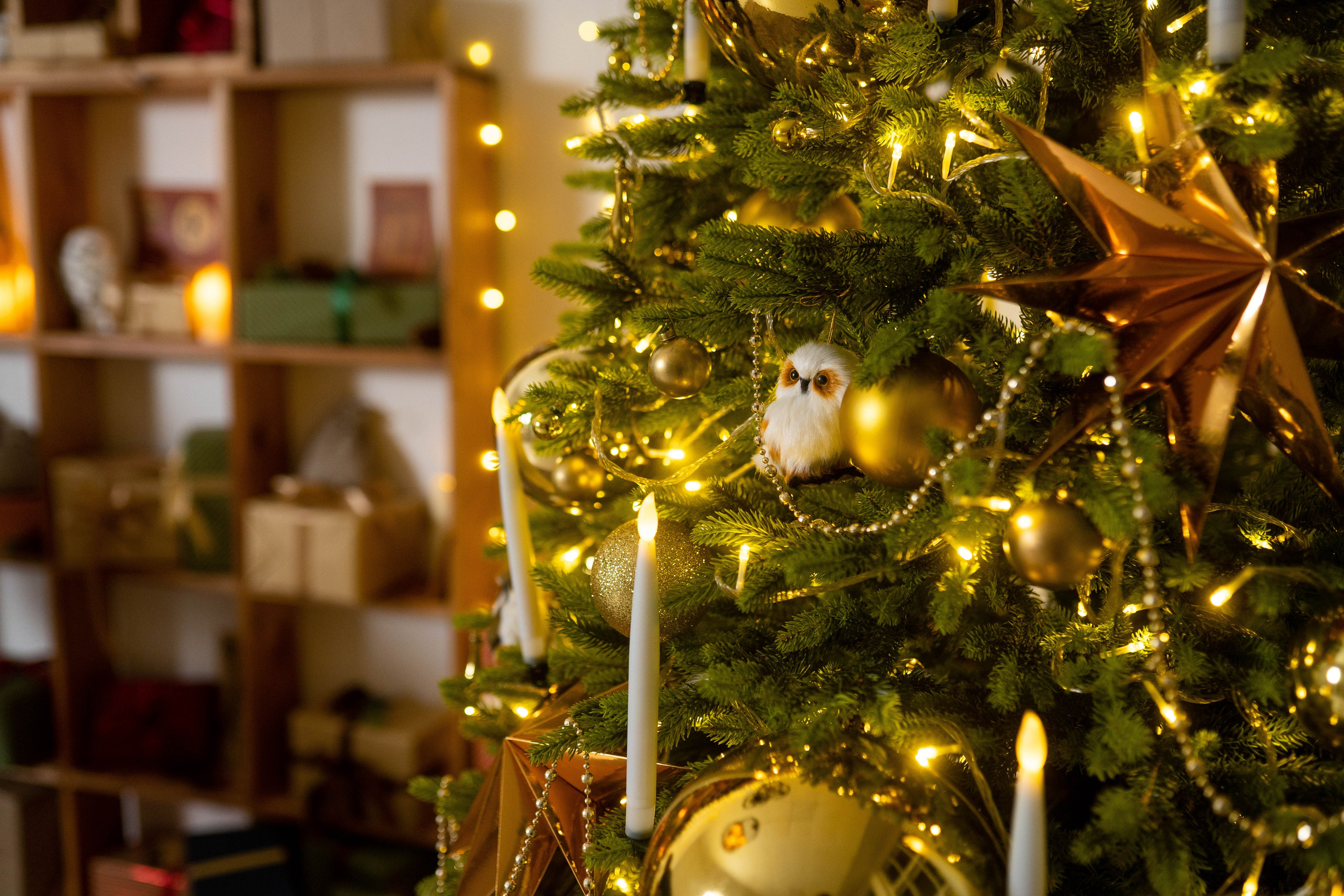 Зал Детский. Фотограф г. Хабаровск. Семейные и индивидуальные съёмки