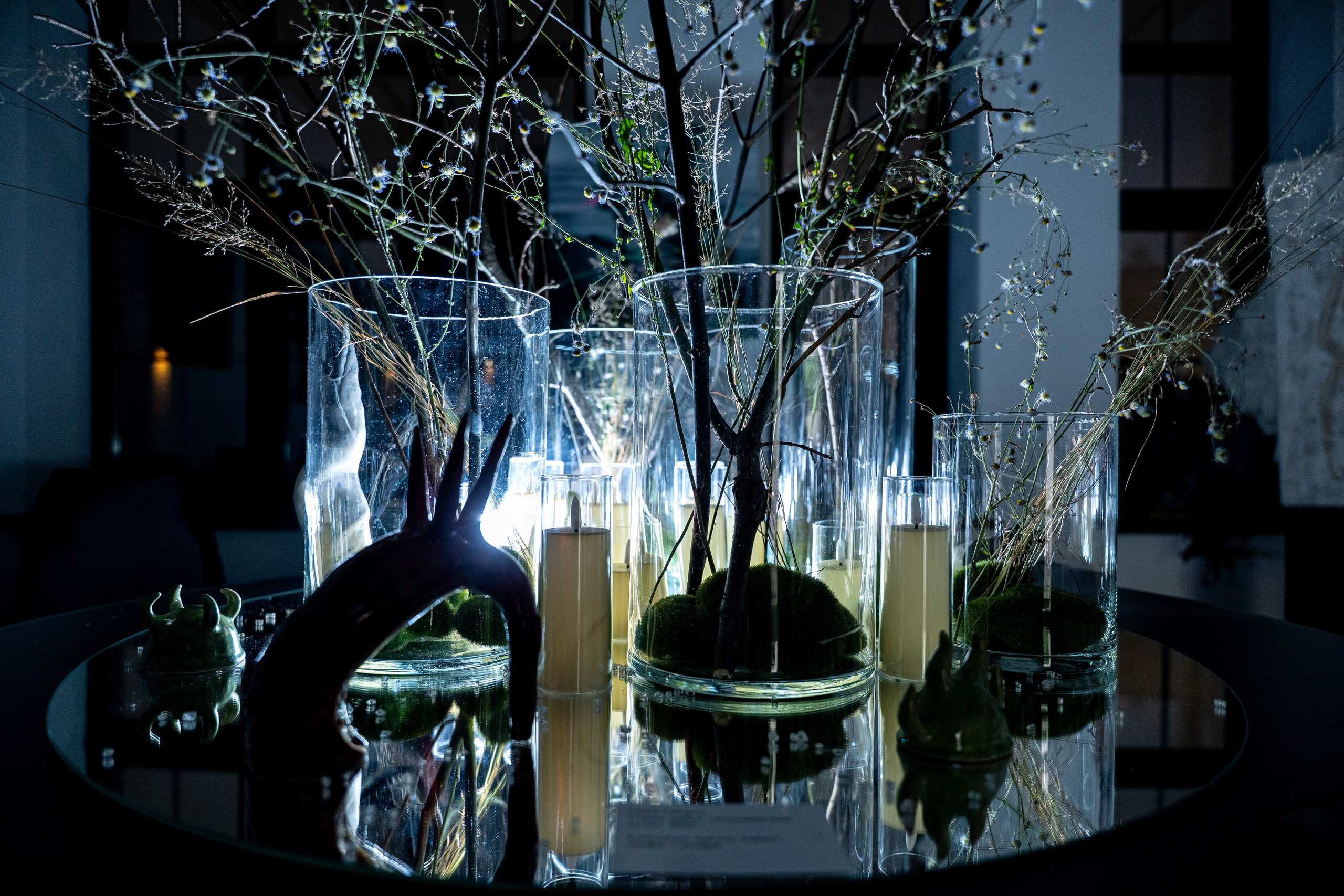 ЛЕС Авторский проект Юлии Якубович 04.11.2025. Портретный и репортажный фотограф в Москве Разуменко Роман