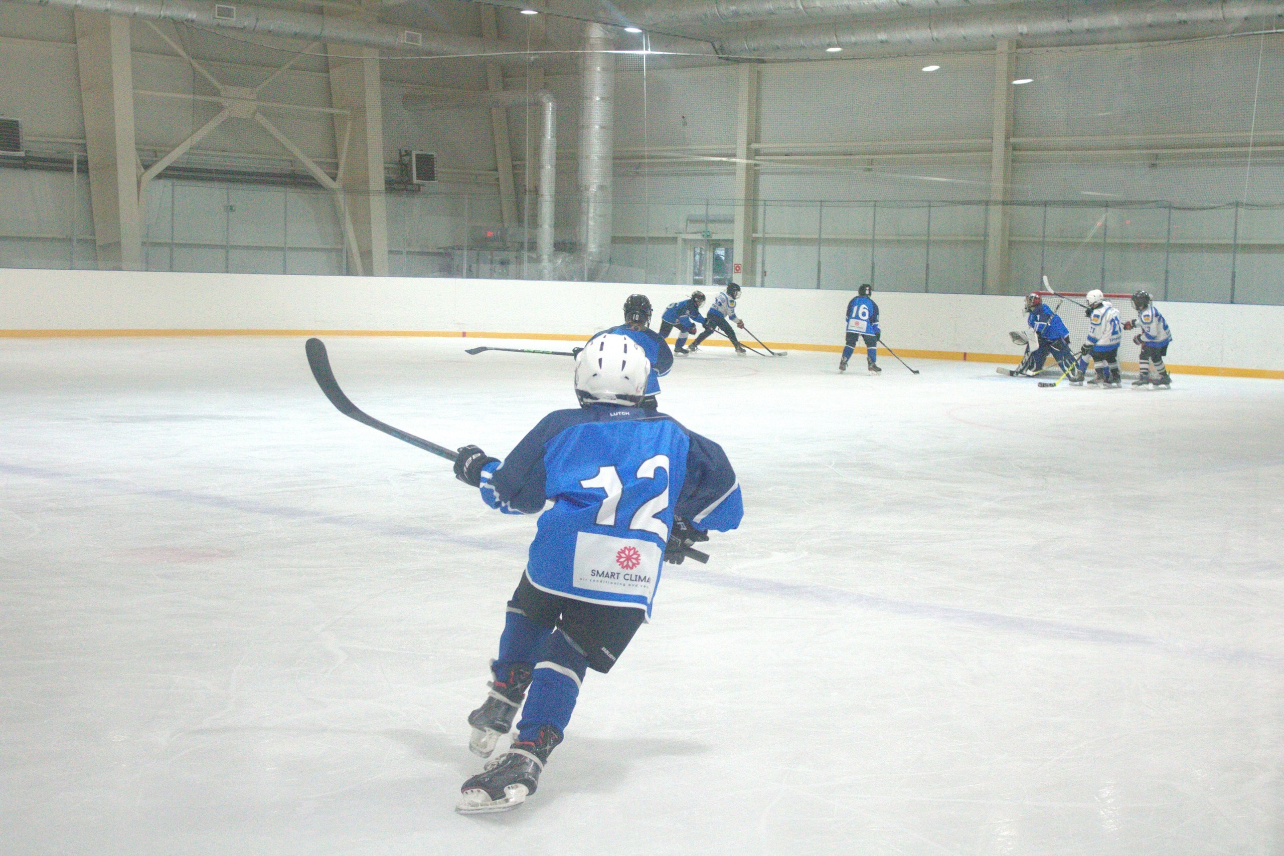 Хоккеист с клюшкой в руках 