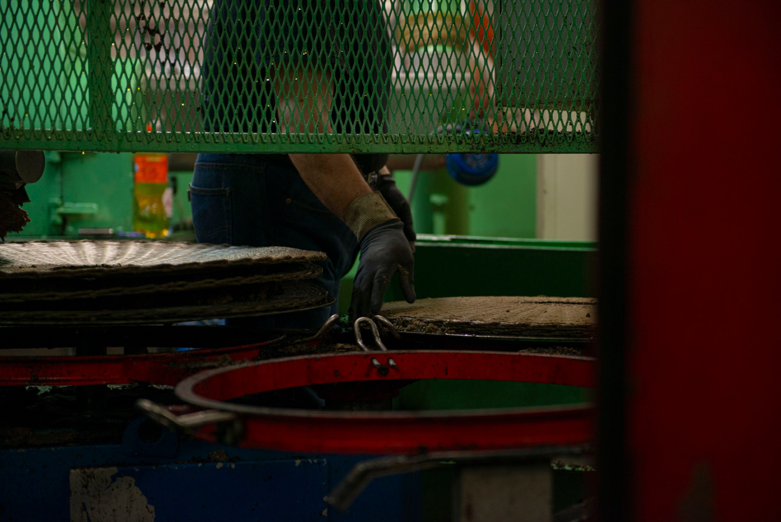 Капля Тосканы — фотопроект о маслобойне Frantoio Tistarelli и семье, создающей оливковое масло