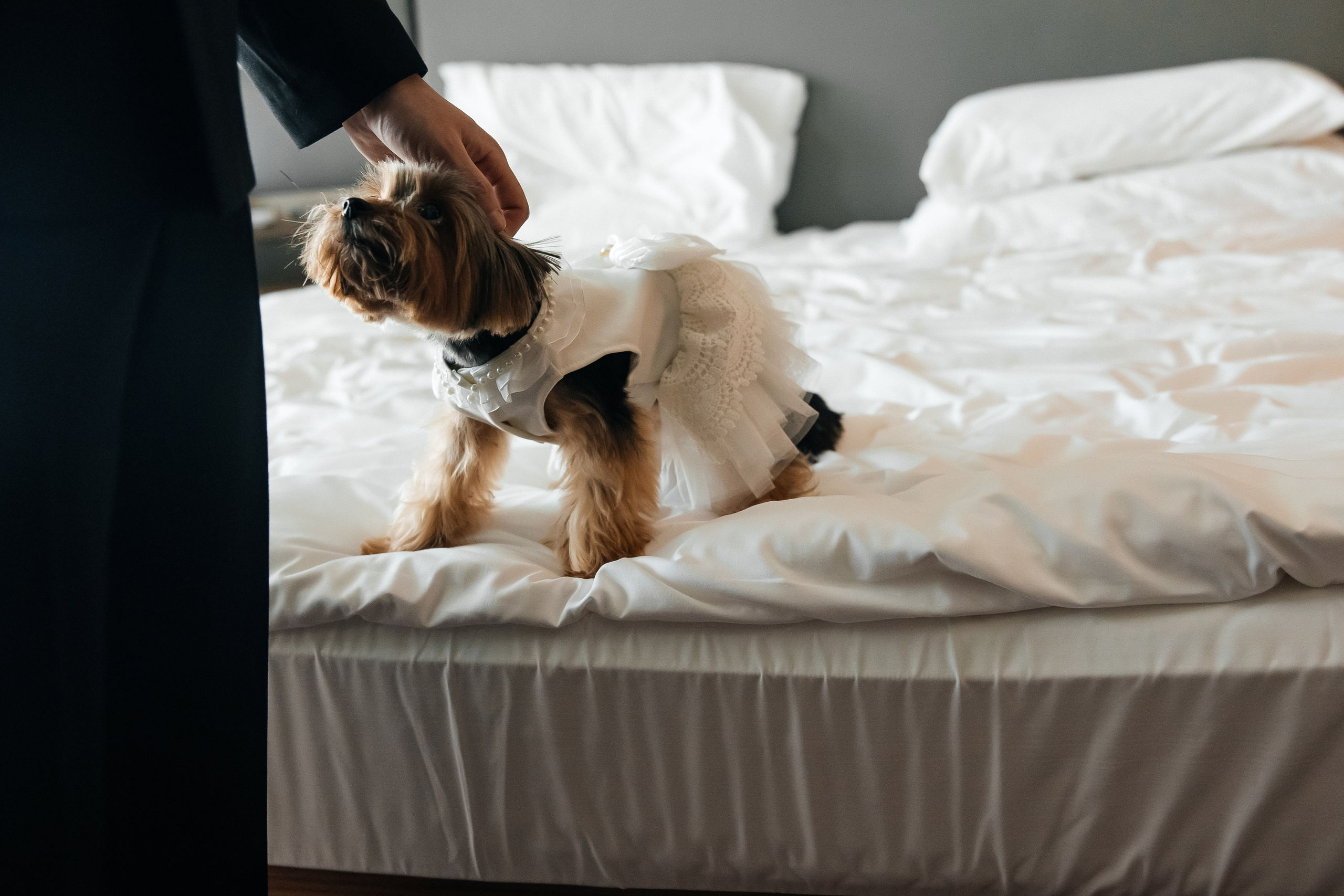 Александр и Валерия. СВАДЕБНЫЙ ФОТОГРАФ МОСКВА