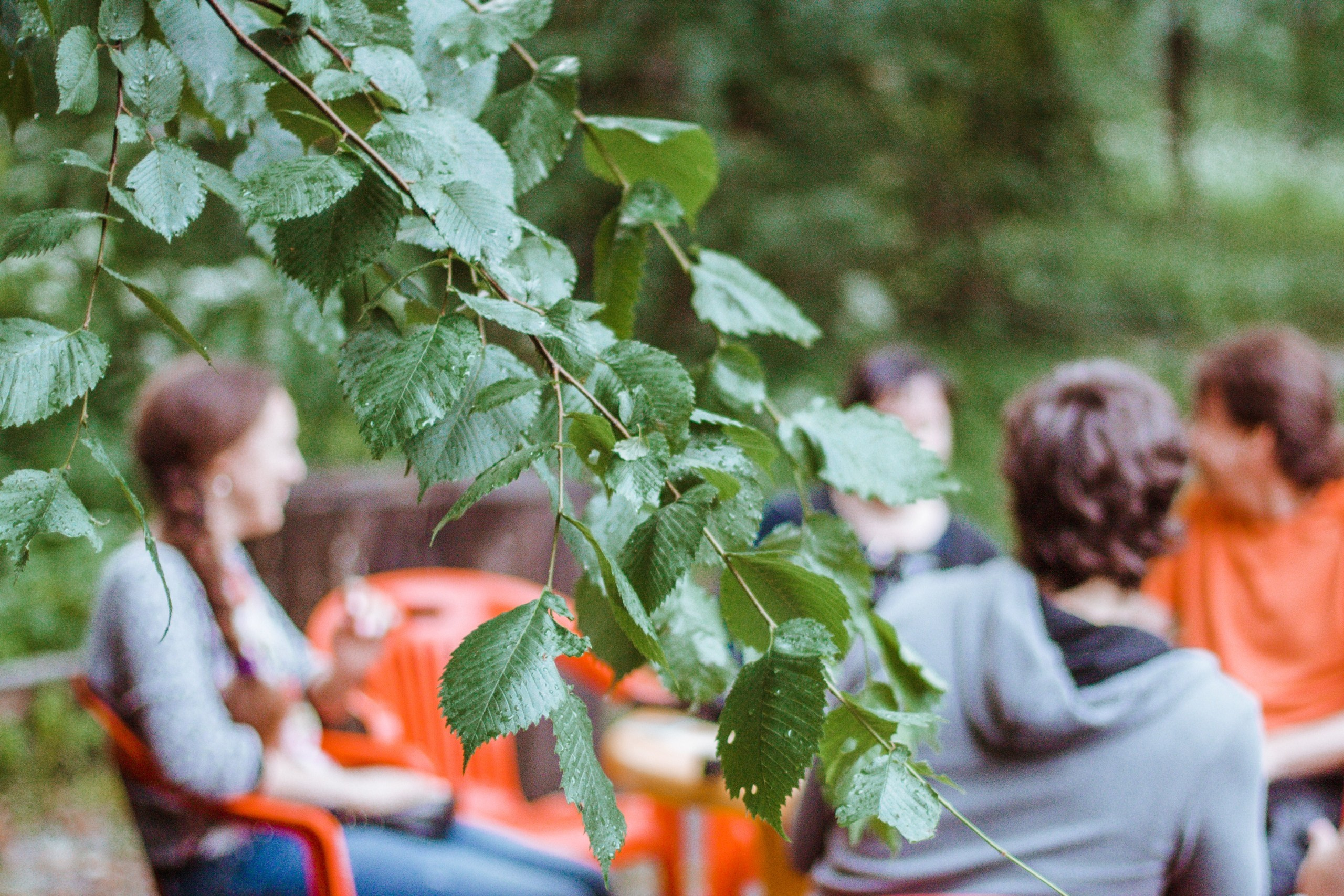 Шашлыки с ночевкой | 20-21.06.20. Галерея Фантим