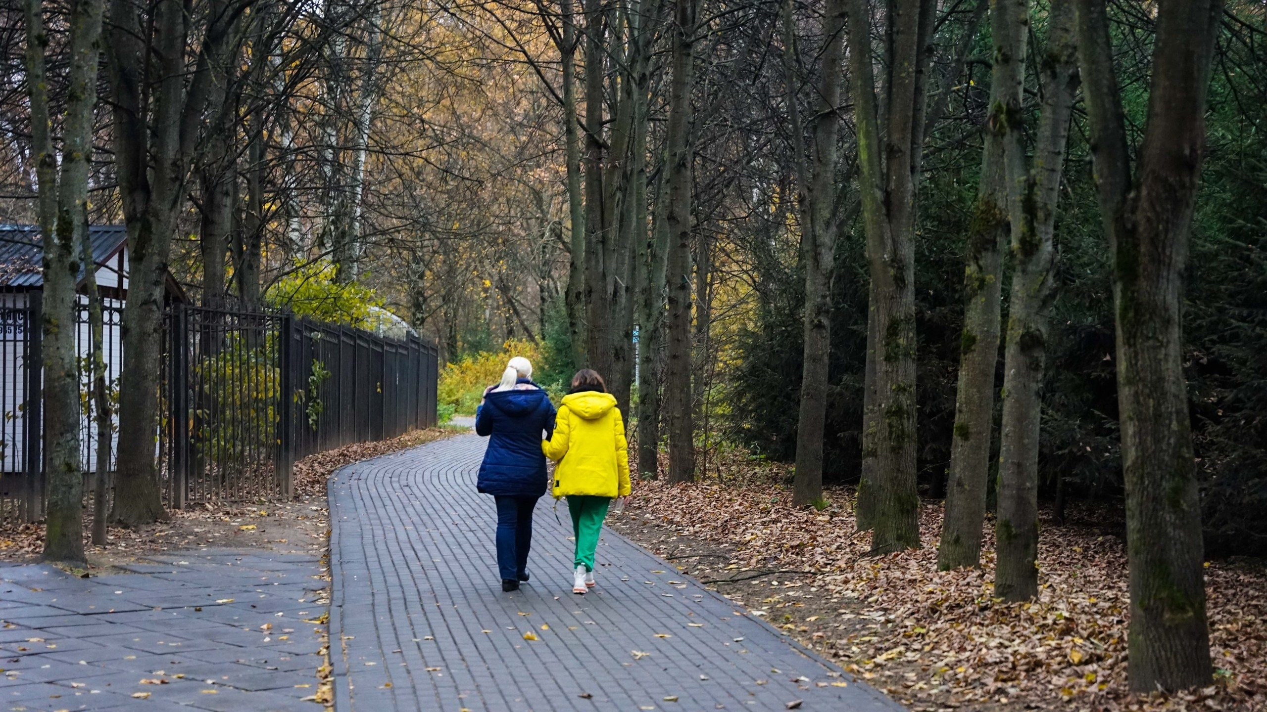 Шашлыки | 26.10.24. Галерея Фантим