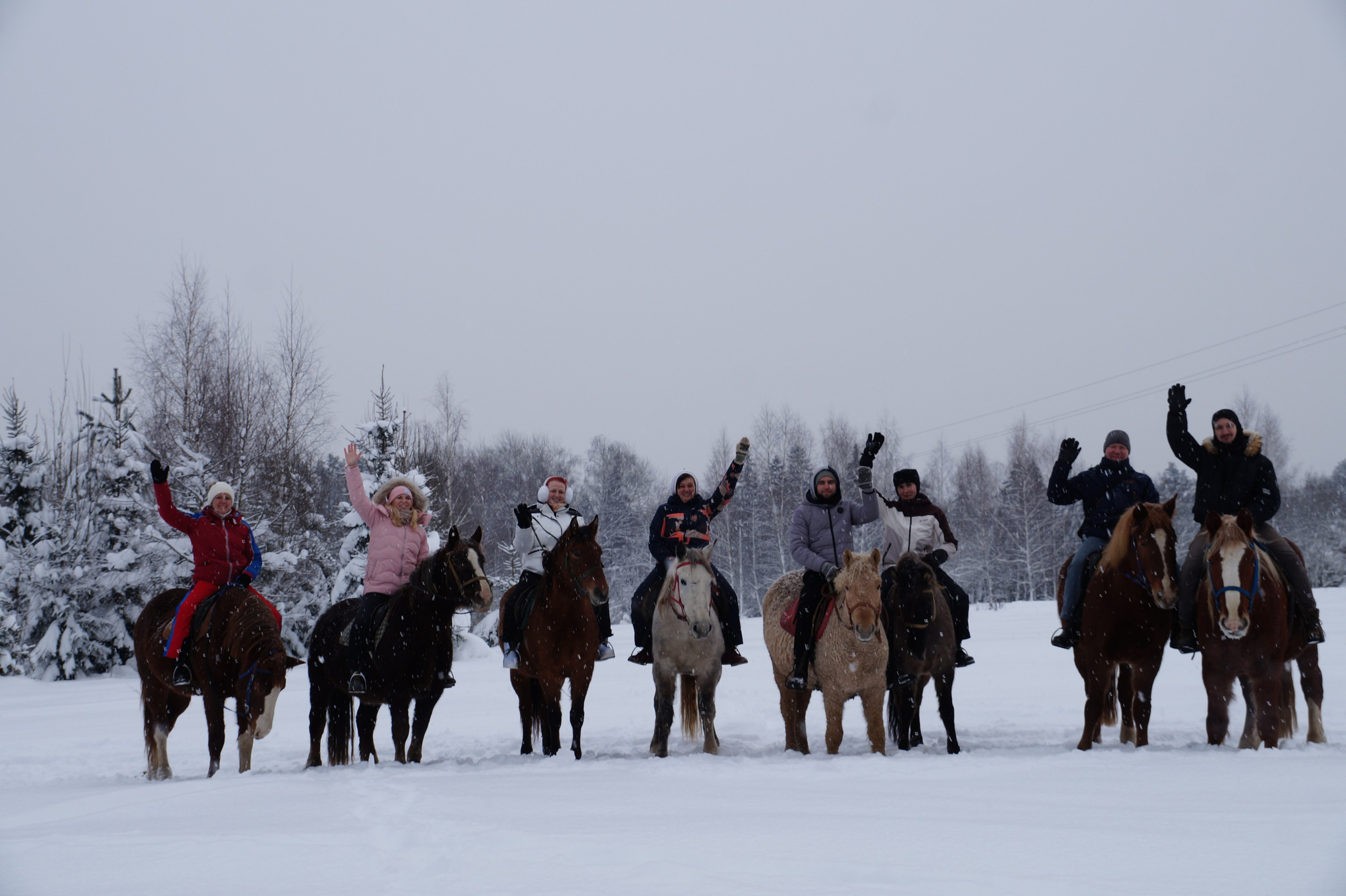 Лошадинг | 11.01.2026. Галерея Фантим