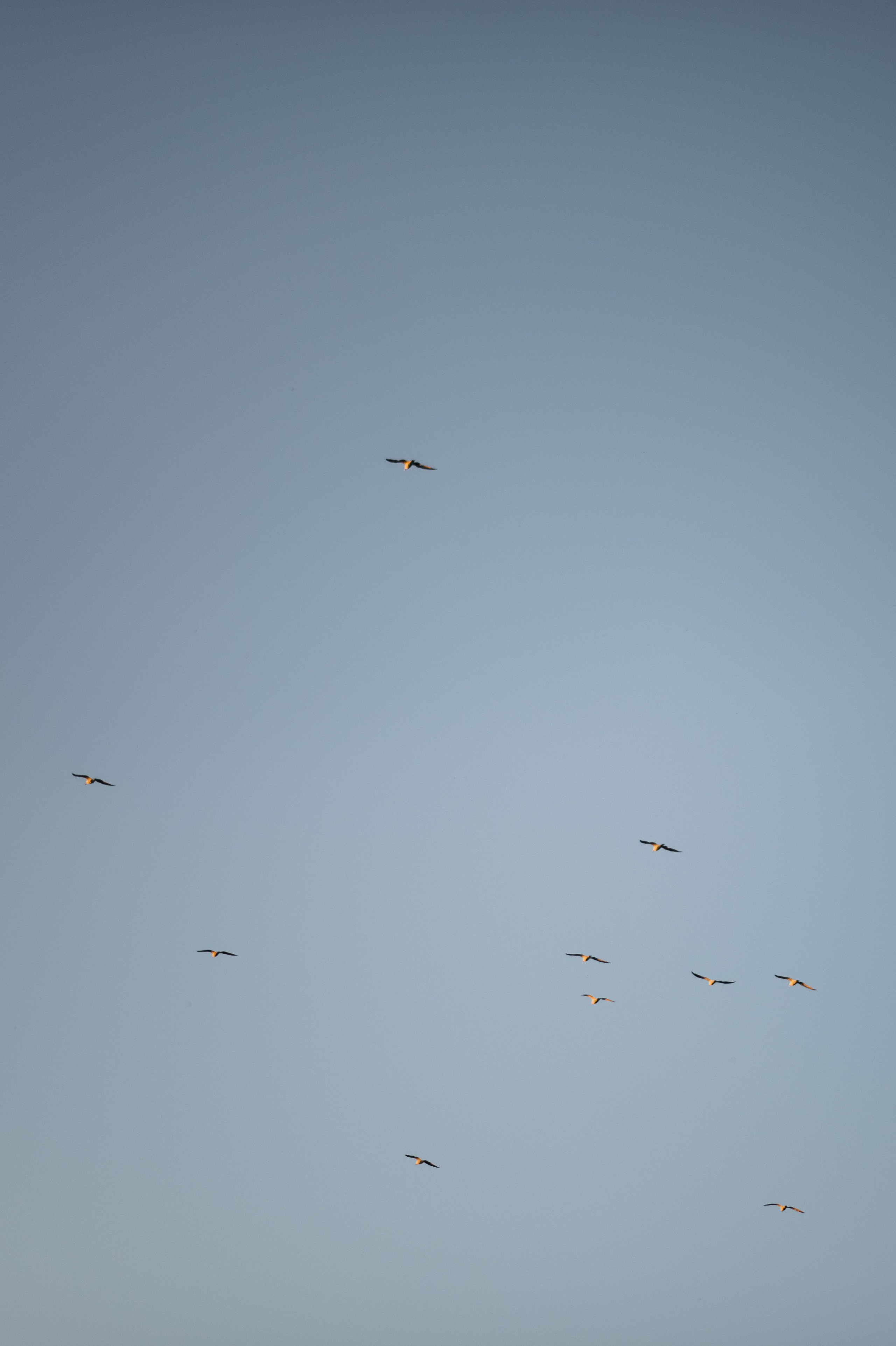 Счастье #15. Свадебный фотограф Екатеринбург/Челябинск — Любовь Волохова