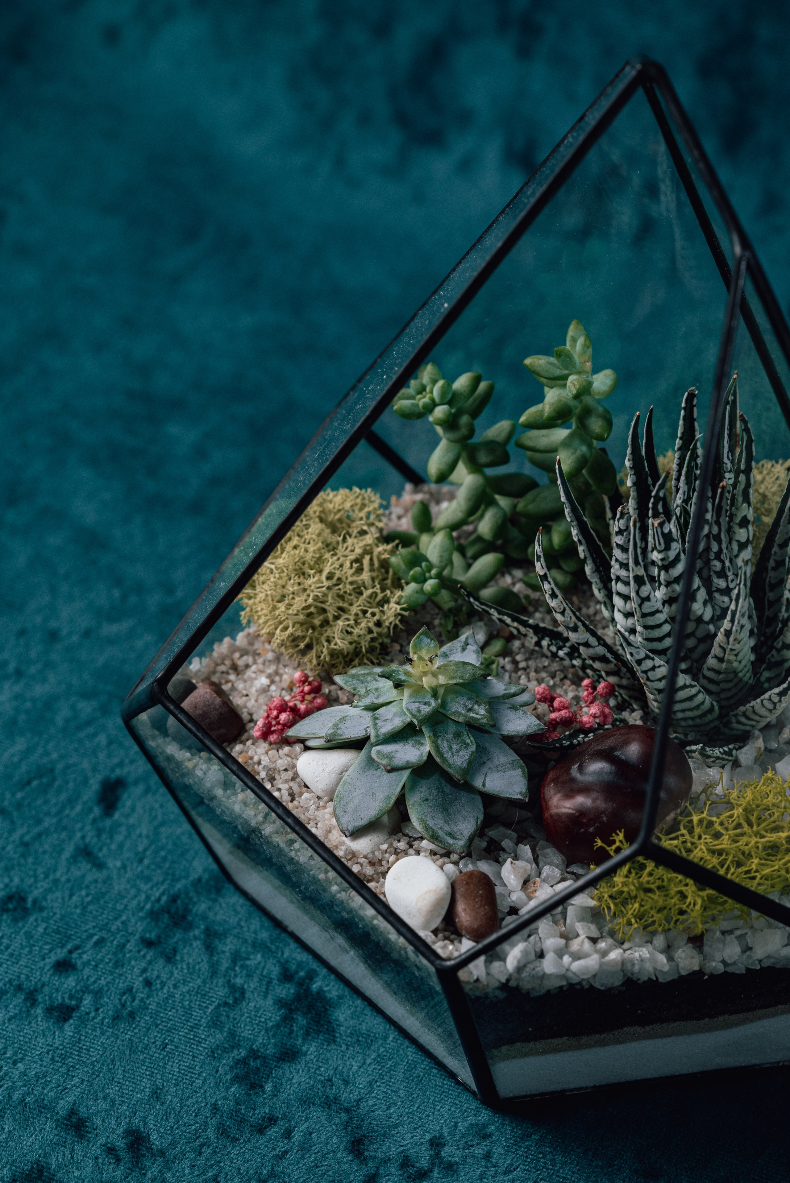 Контент-съемка для флориста. Фотограф Екатерина Шишкина. Питкяранта. Карелия