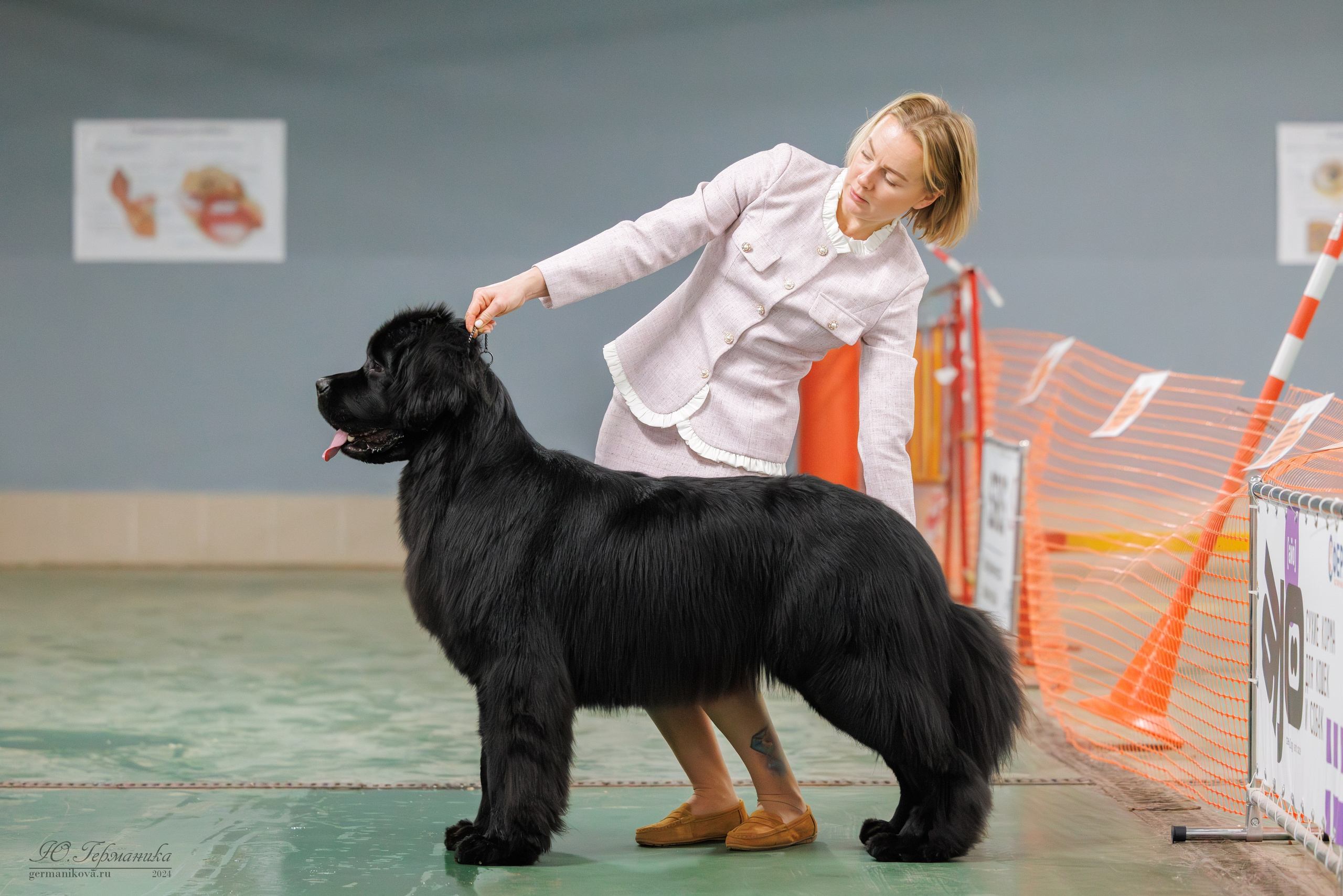 Сфера и Крокус 8,9,16 и 30.03.2025. Фотограф-анималист Юлия Германика