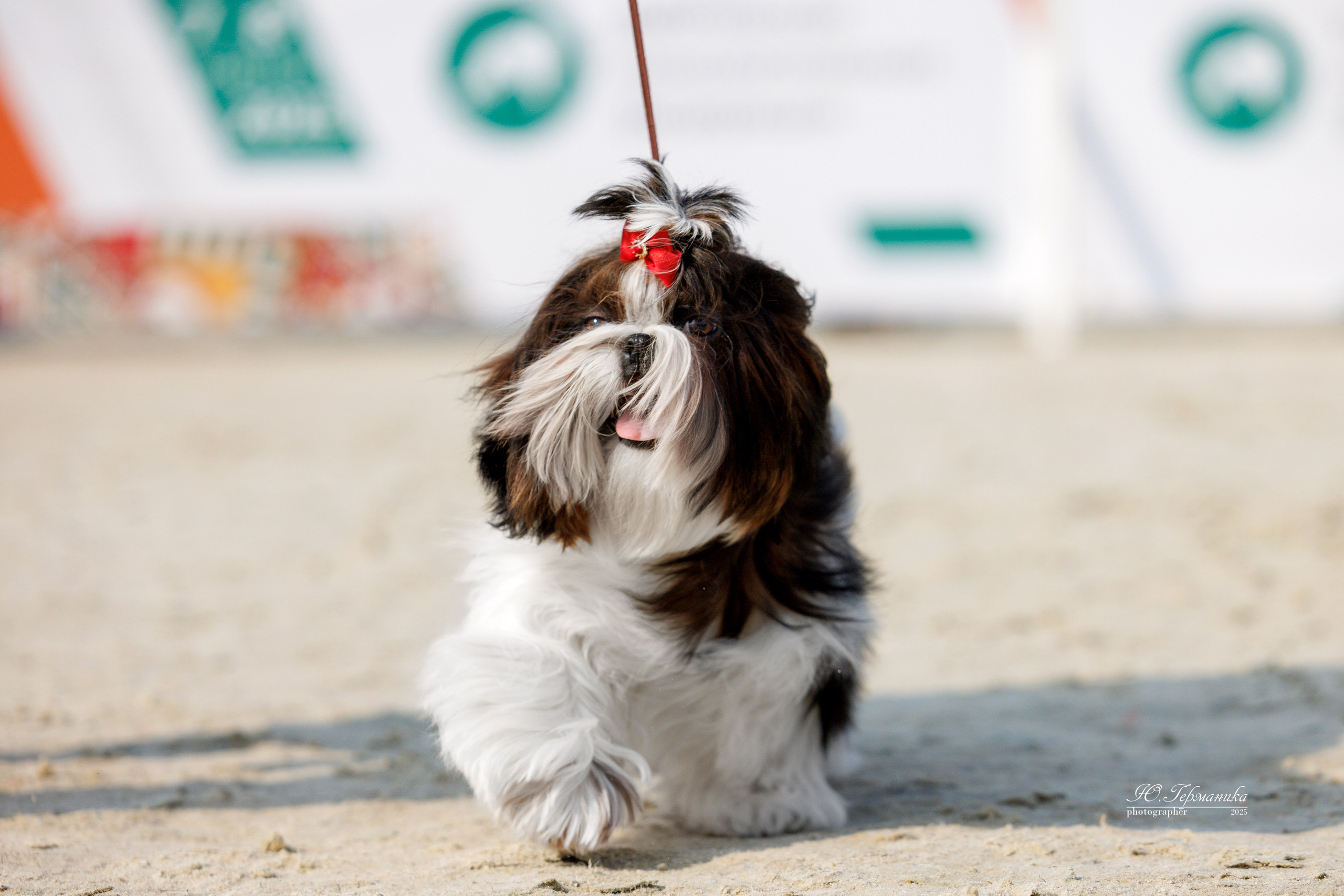 РОССИЯ 7-8.06.2025. Фотограф-анималист Юлия Германика