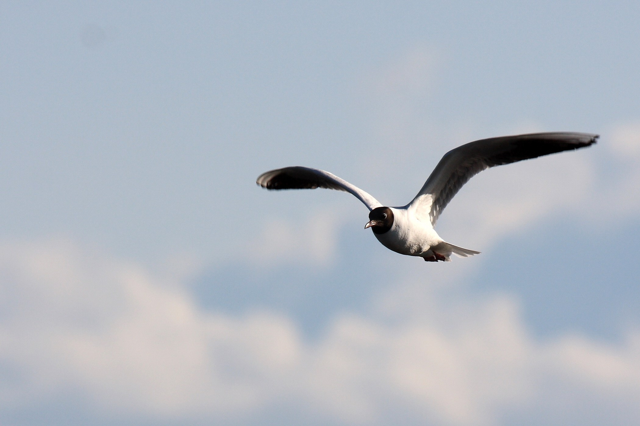 Фото Природы Забайкалья. Студия Максима Белослюдцева