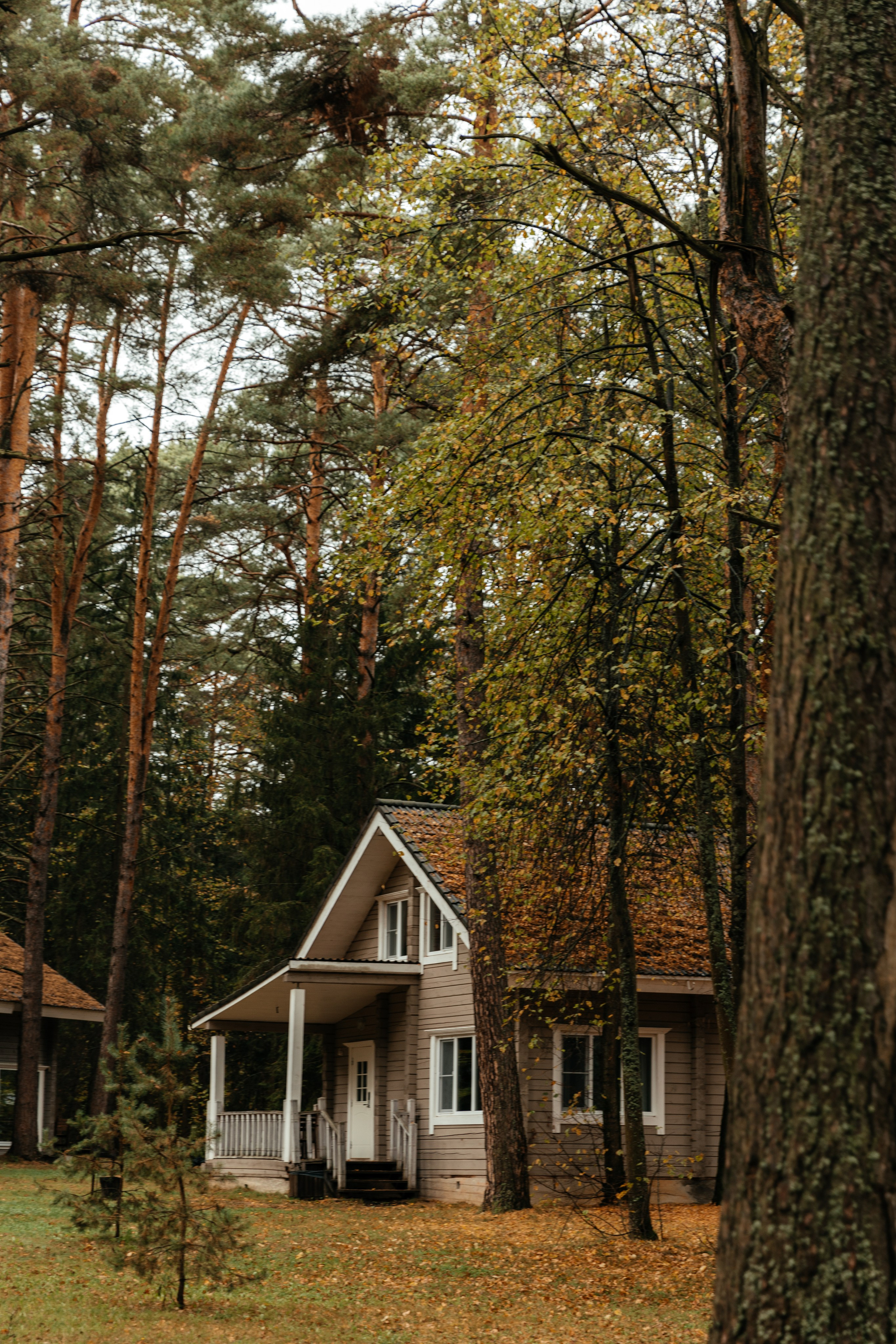 Даня и Саша | Pine River. Свадебный фотограф Ангелина Зотова | Обнинск, Москва, Калуга