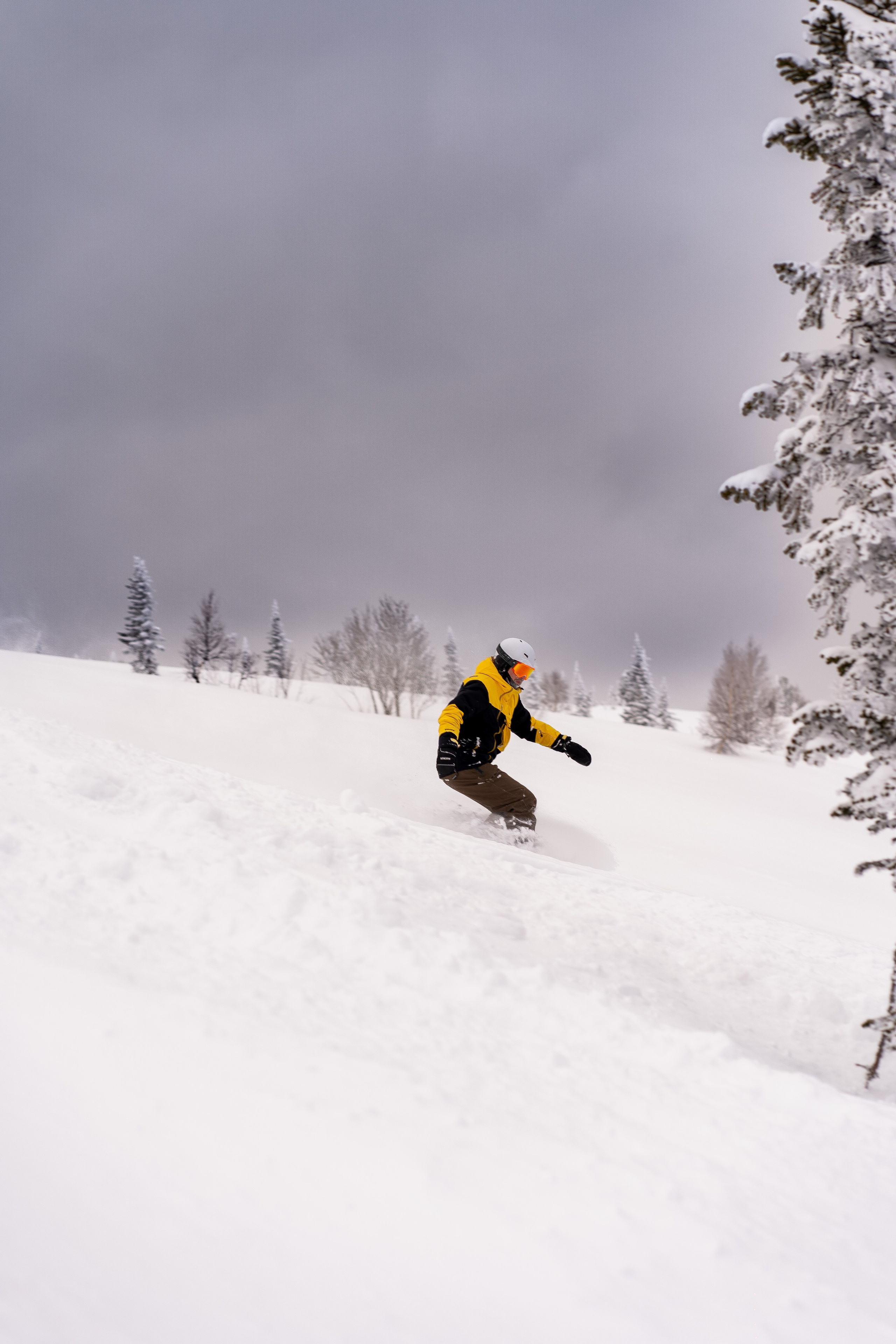 Фрирайд. Анастасия Паршукова — фотограф Шерегеш Новосибирск