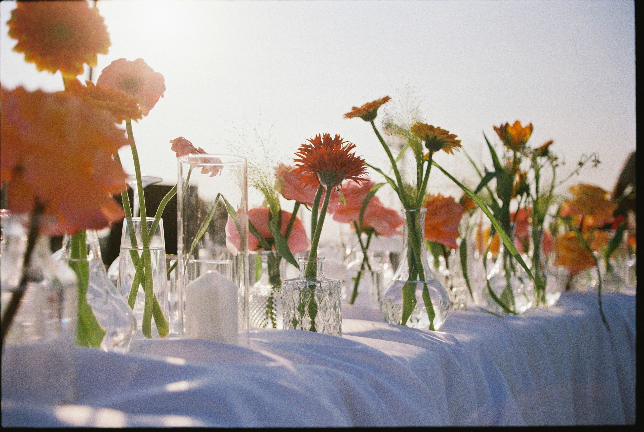 DUBKI'2025. Beyourselfph.ru