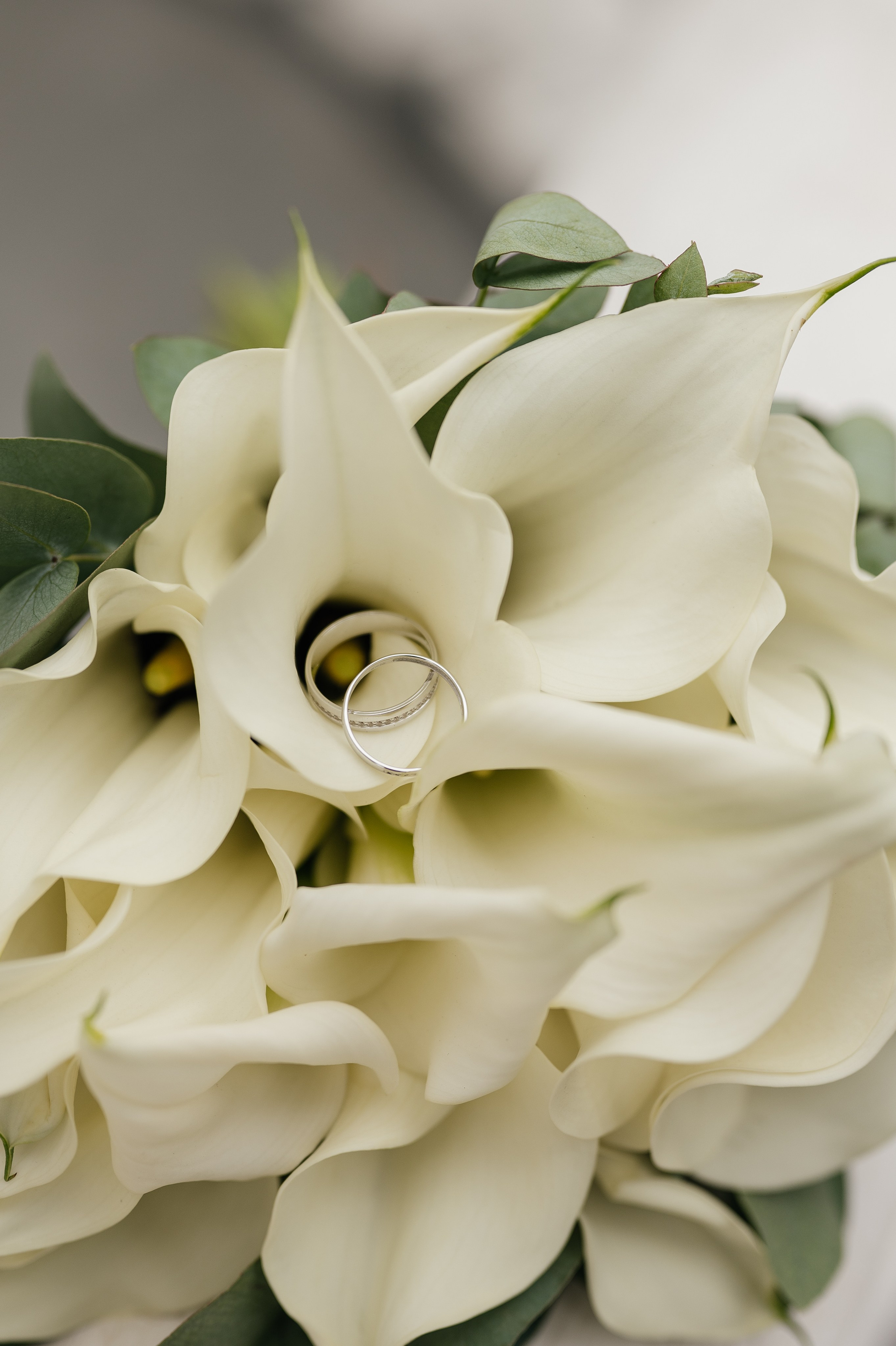 Свадебная 💍 загс и студия. Свадебный и семейный фотограф в Краснодаре Алина Мельник