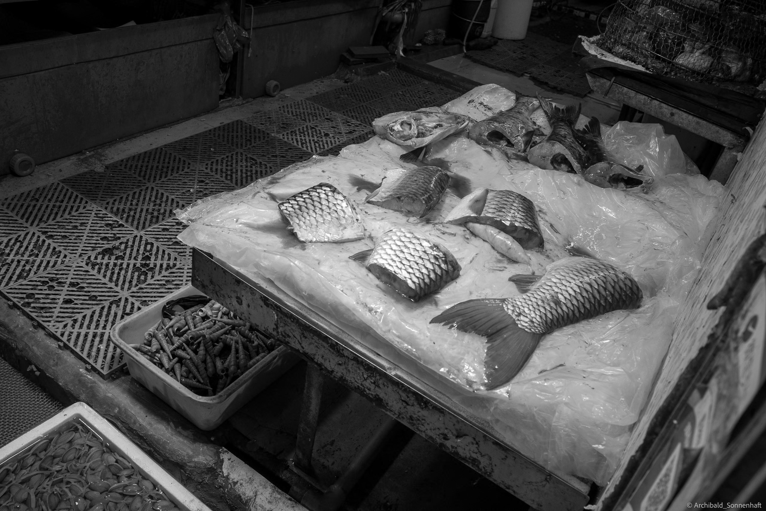 Shipai Urban Village. Photographer in Guangzhou, China. Archibald Sonnenhaft