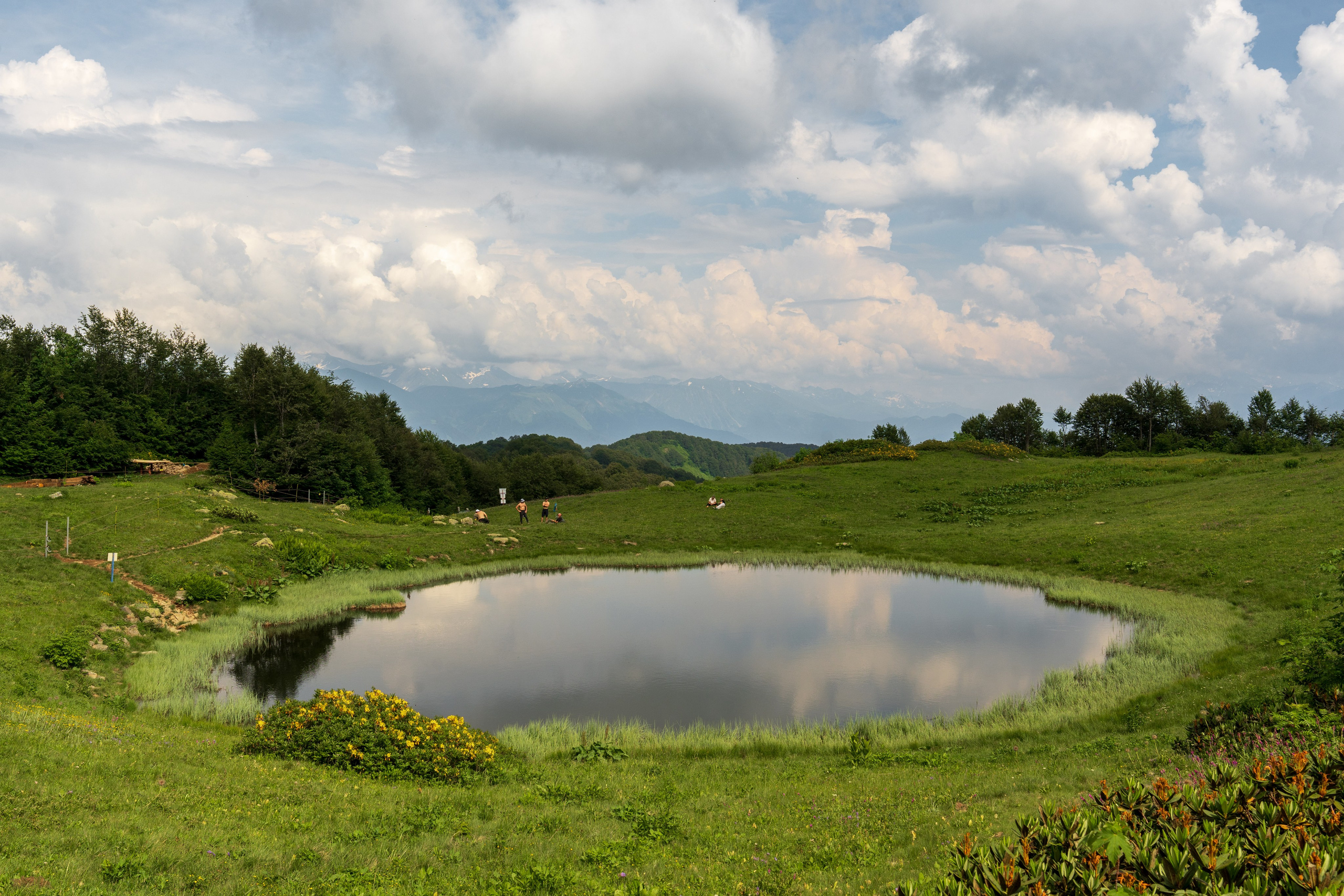 MICE мероприятие для компании «Доставка морем»: хайкинг к Ачипсинским водопадам. Репортажный фотограф в Красной Поляне и Сочи Павлюченко Екатерина