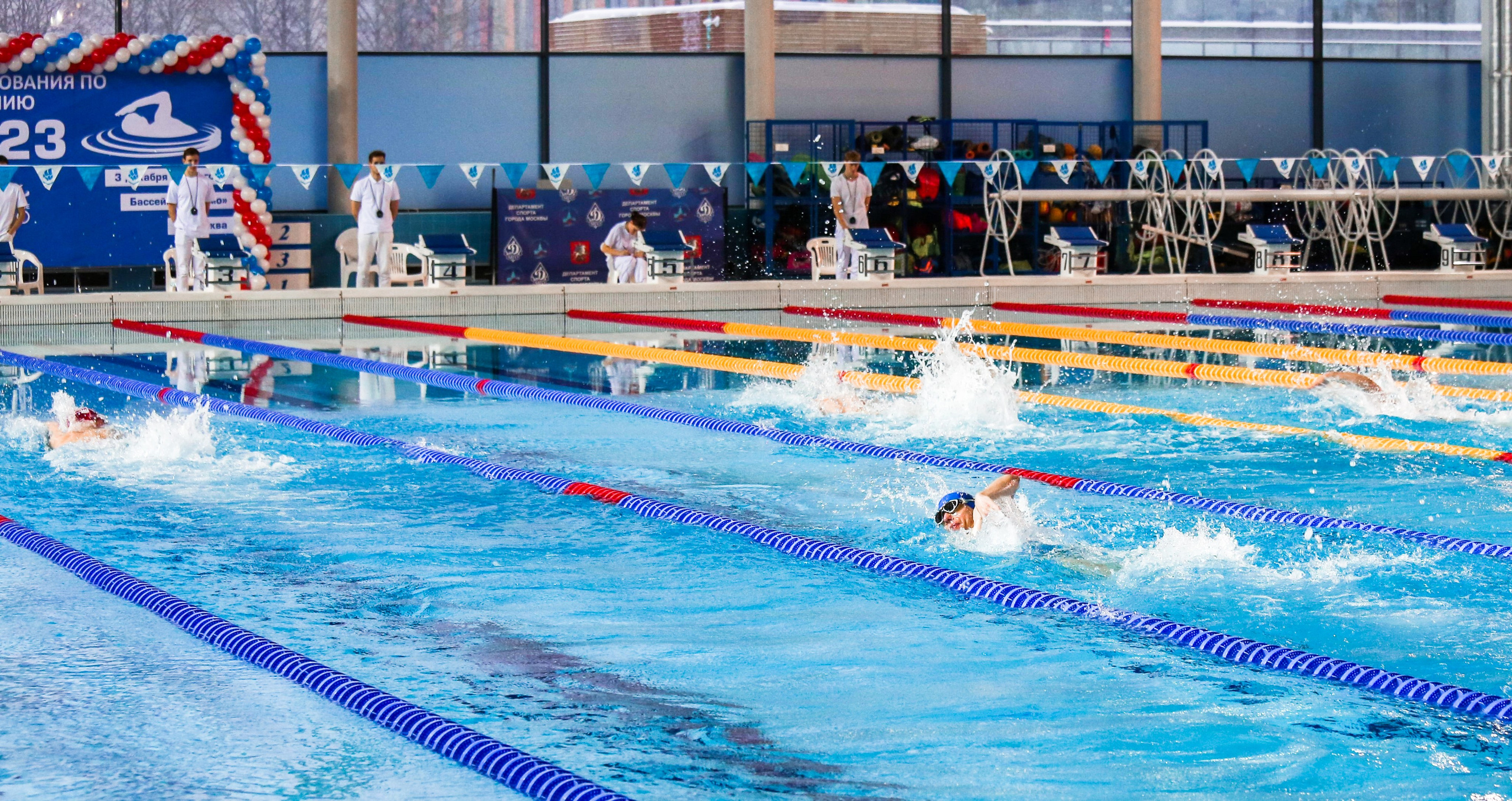 Соревнования по плаванию. Репортажный, семейный, свадебный, портретный фотограф