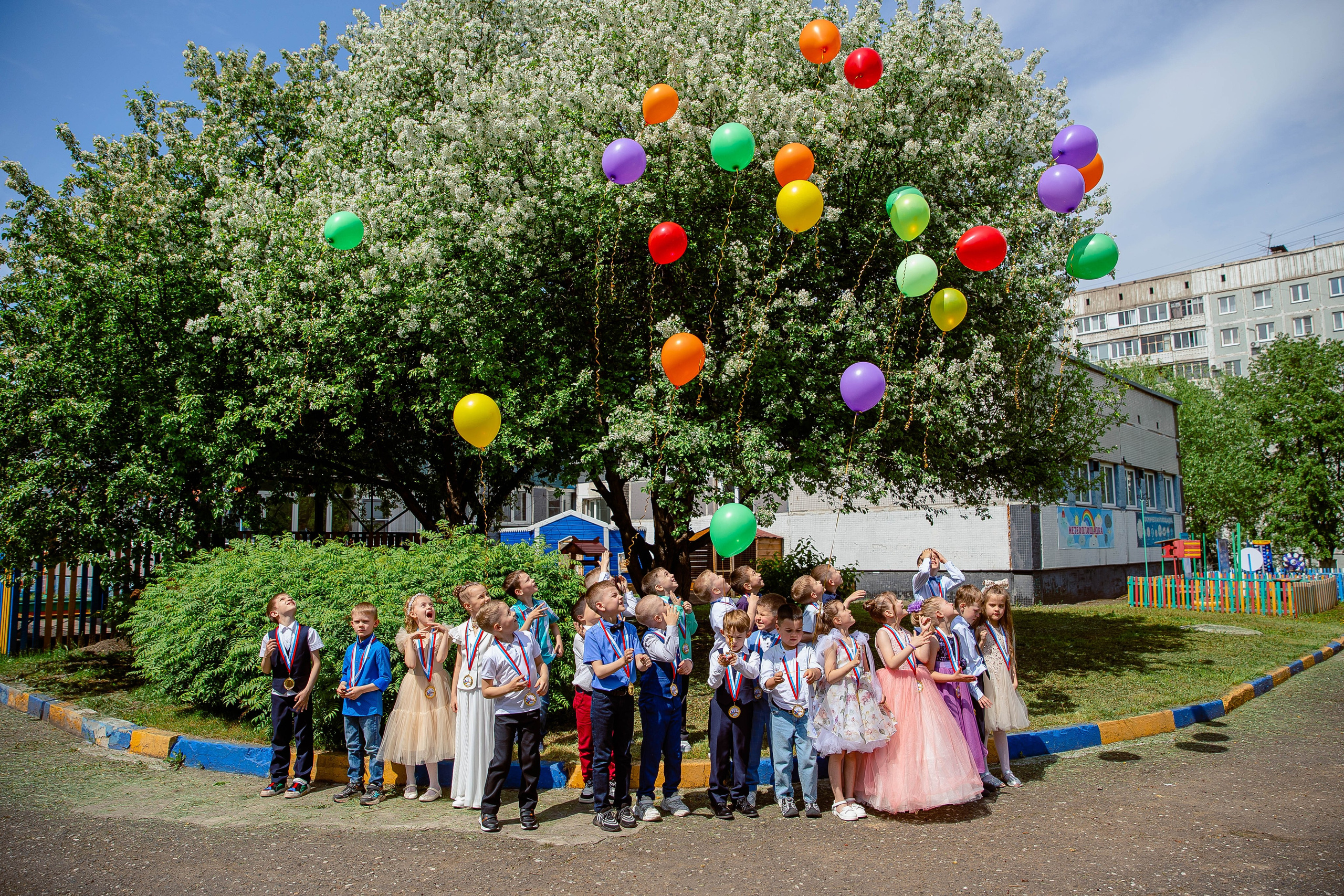 Детский сад 253. Свадебный фотограф в новокузнецке