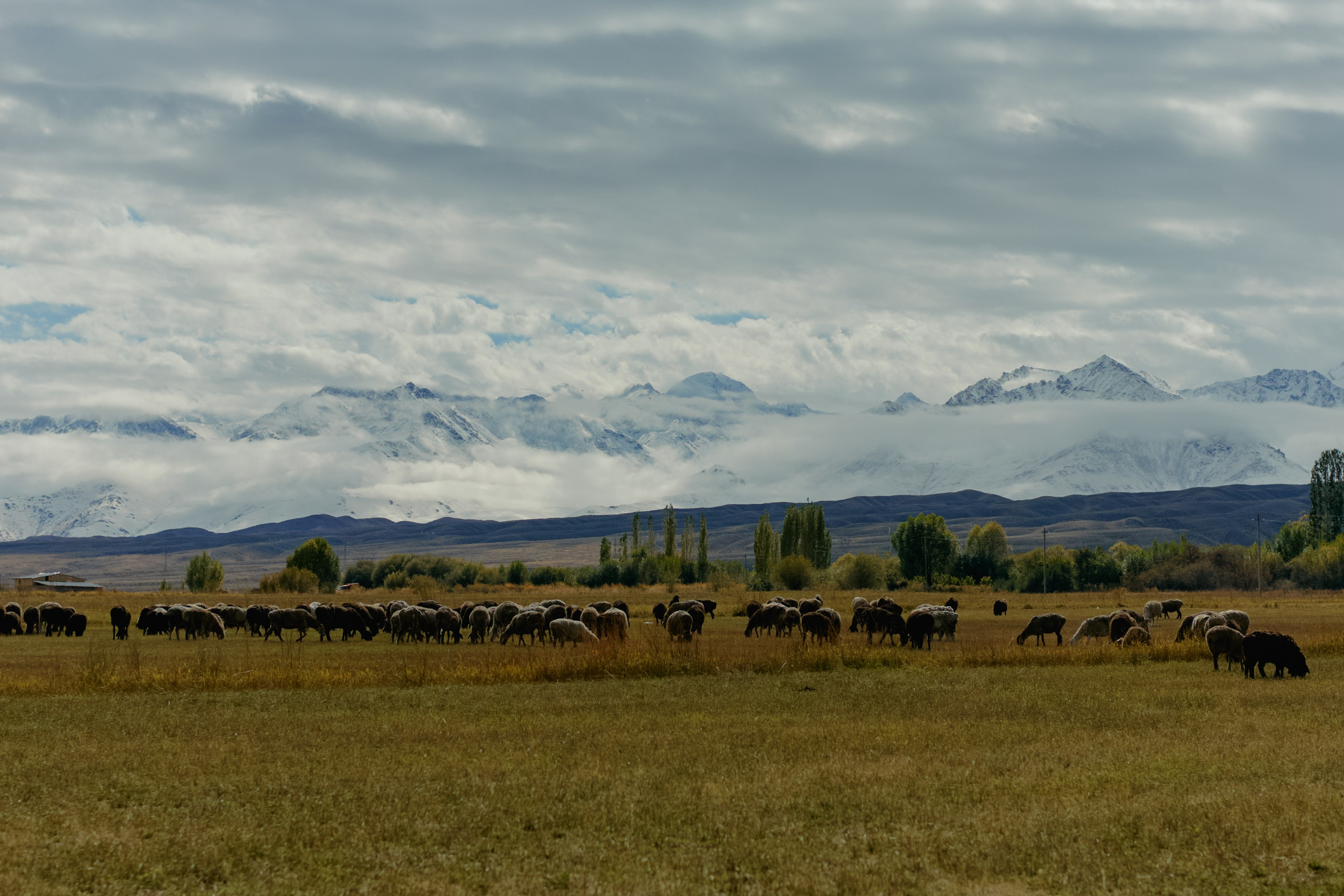 Кыргызтан. Профессиональный Фотограф во Владимире, в Москве и в Суздале — Полина Романычева