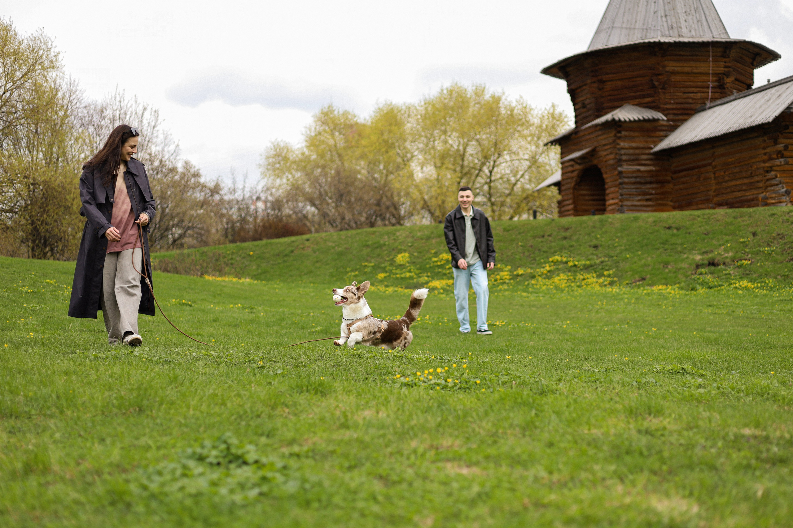 Анджей, Софья и Андрей. Фотограф-анималист Ксения Шевцова|Москва