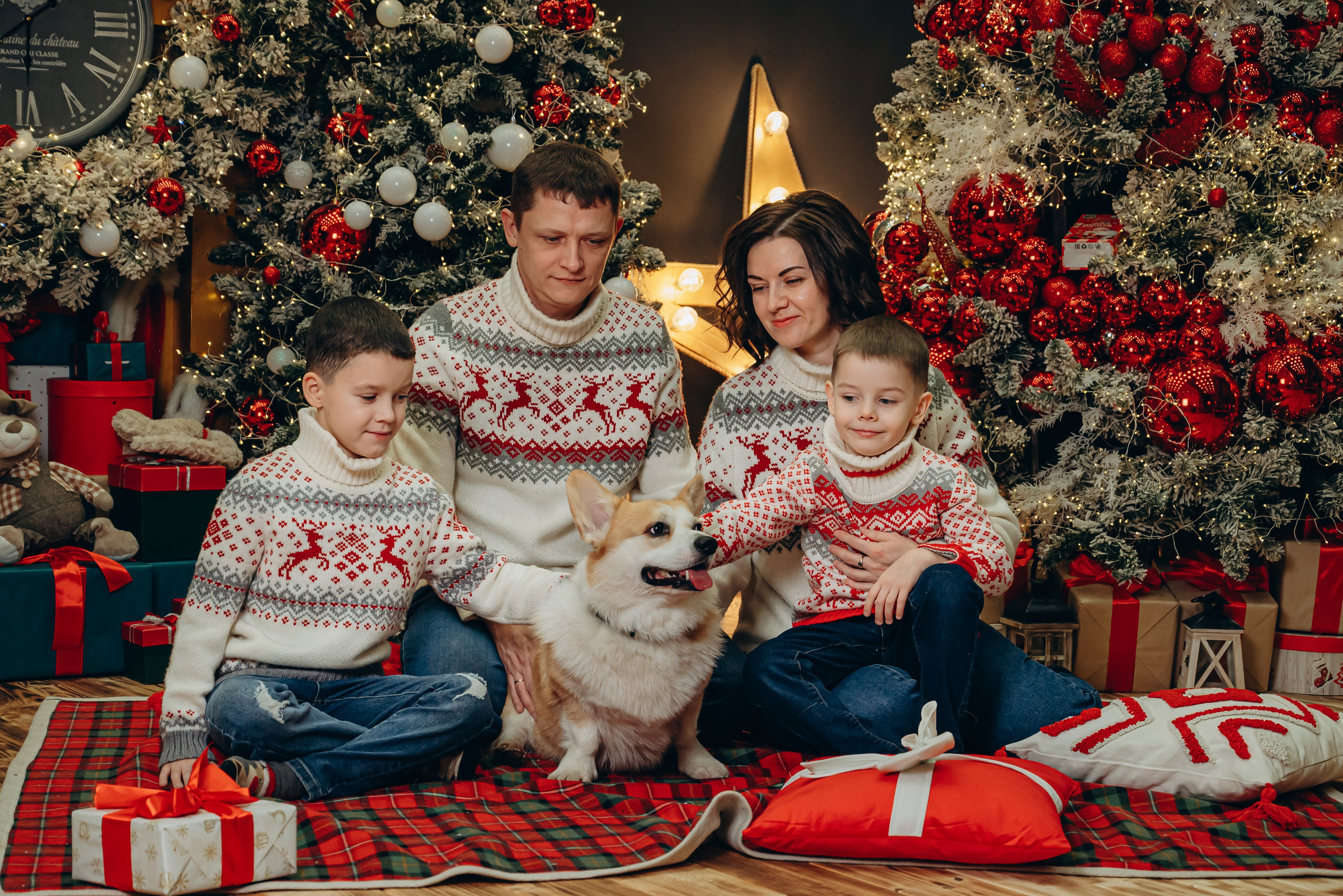 Новый год с корги