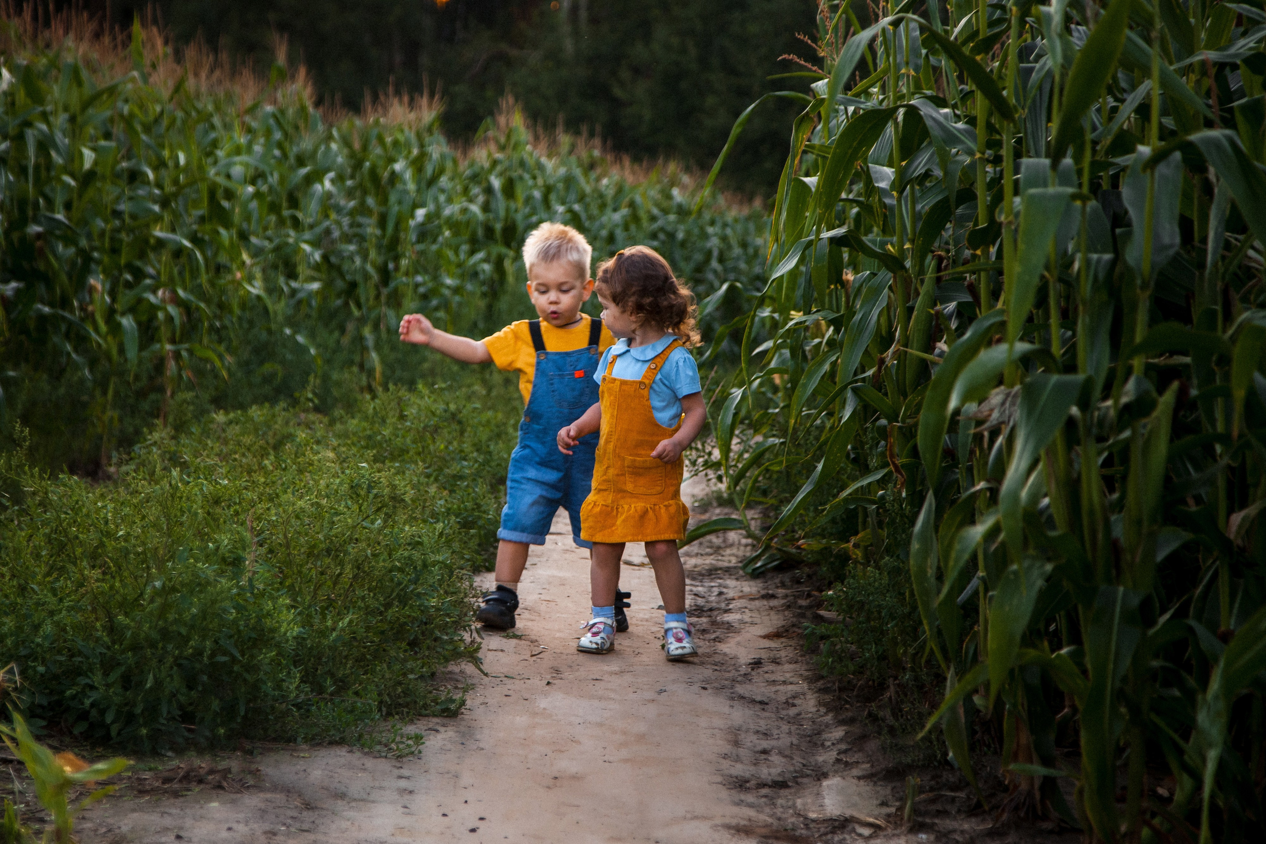 Миша и Маша. Портретный, семейный, свадебный фотограф в Брянске Маргарита Василькова