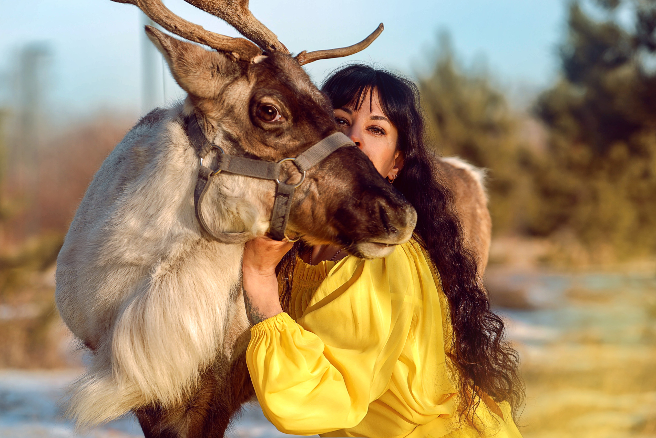 Олениха Нося 2024. Конный фотограф в Красноярске — Любовь Похабова
