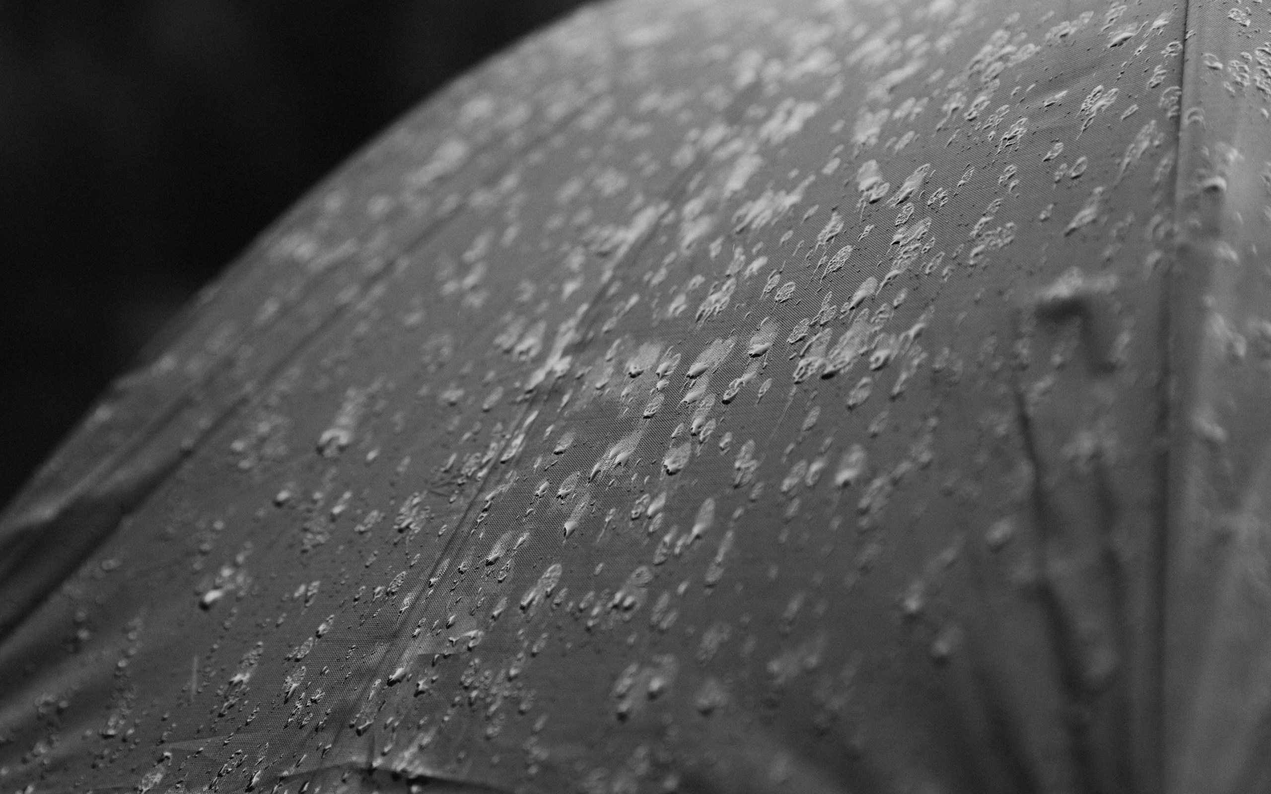 Александра и Илья. Свадебный и портретный фотограф в Калининграде и Москве Марк Юдинцев