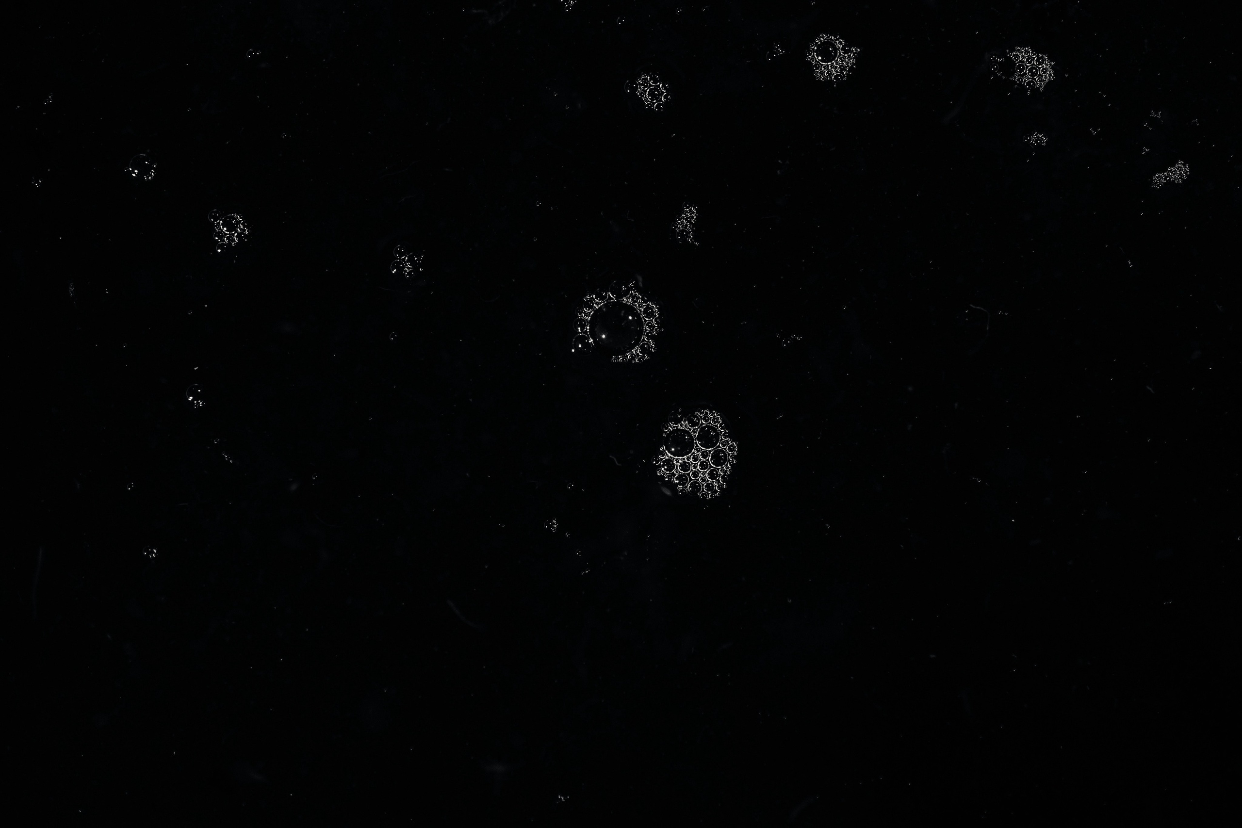 Butterfly. Lokos.pro Ник Соколов Фото и Видео Москва/Ростов-на-Дону