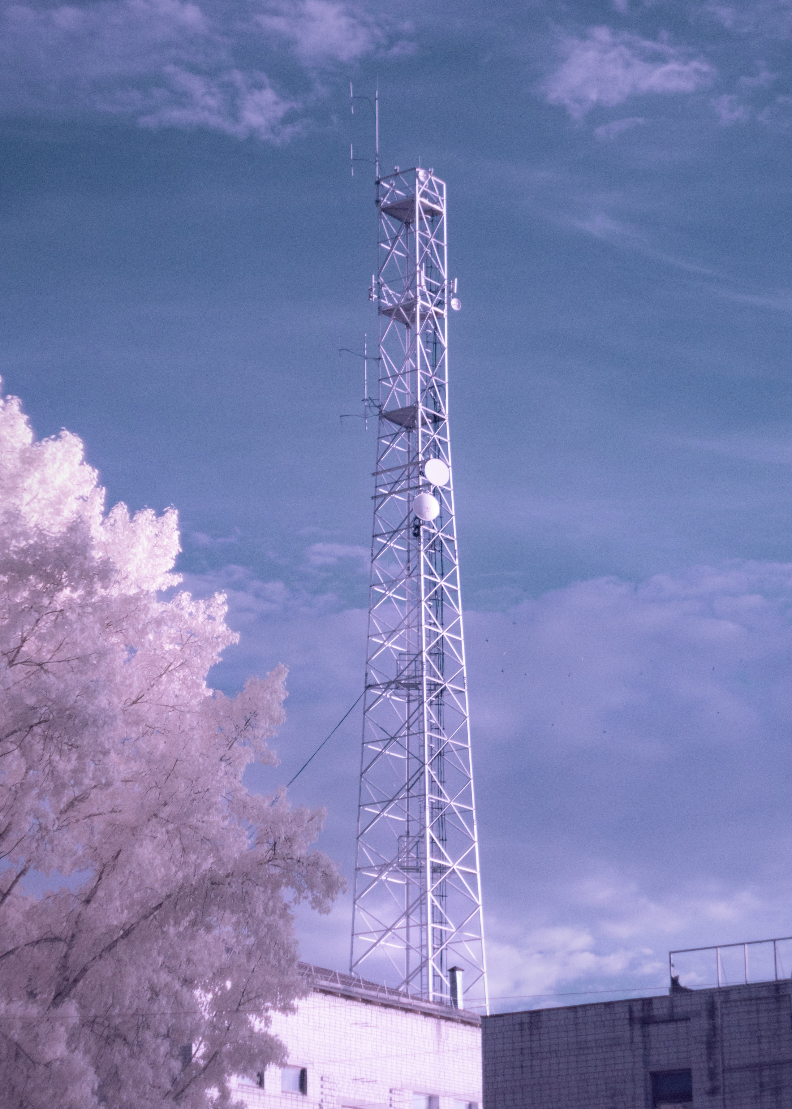 Infrared. AThumbnails