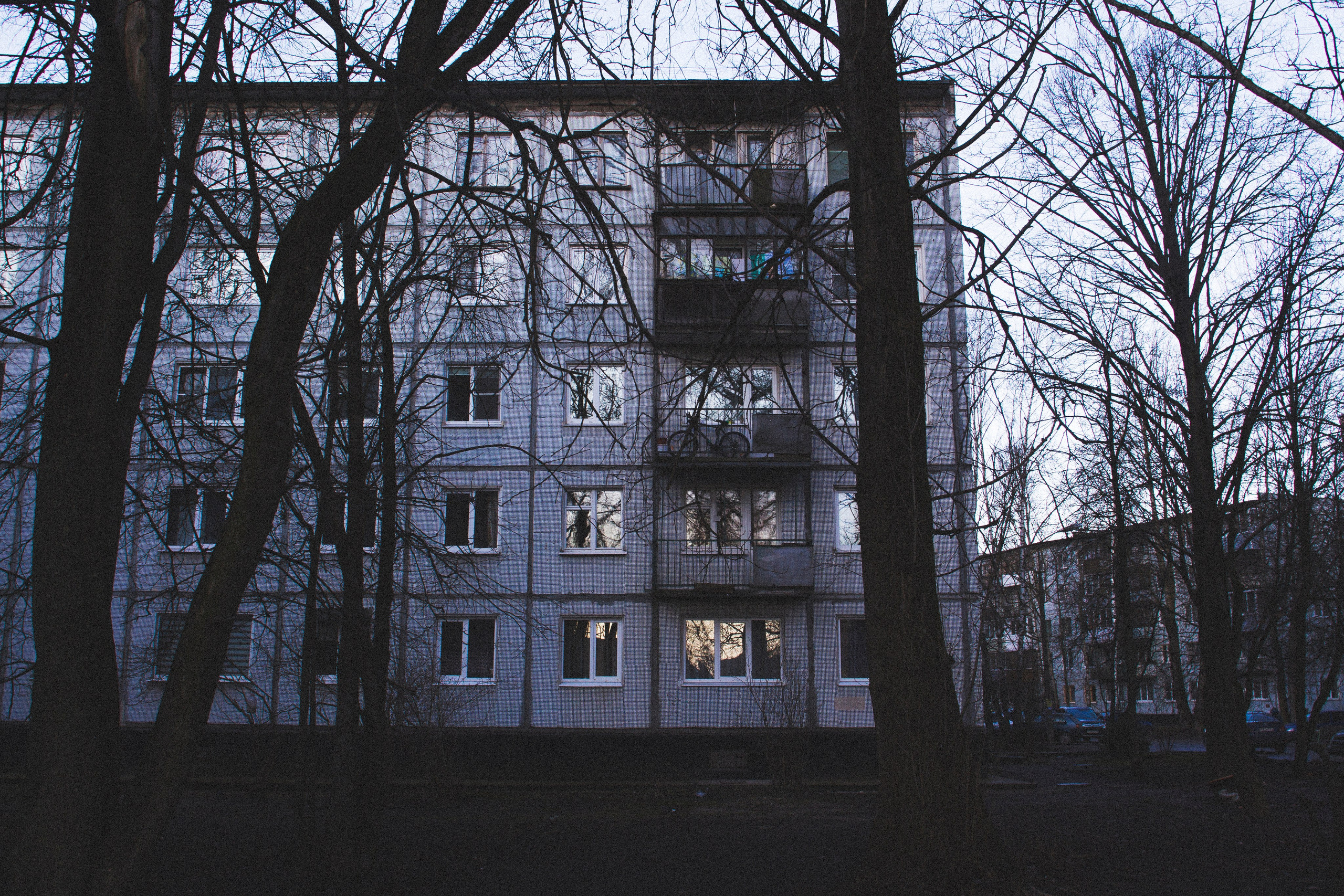 Великий Новгород. Фотограф Адигамова Юлия в Петербурге