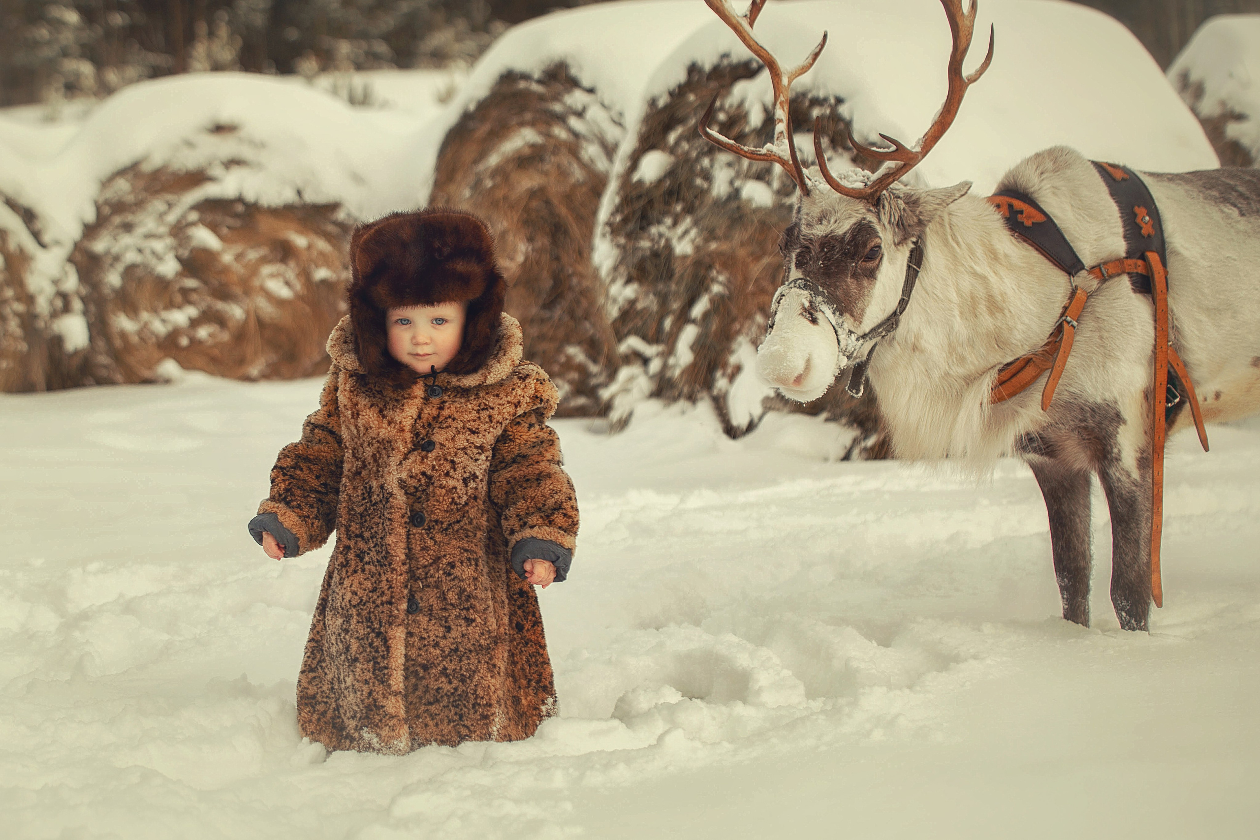 На ферме!. Индивидульный, семейный и детский фотограф в Тюмени Елена Пахомычева