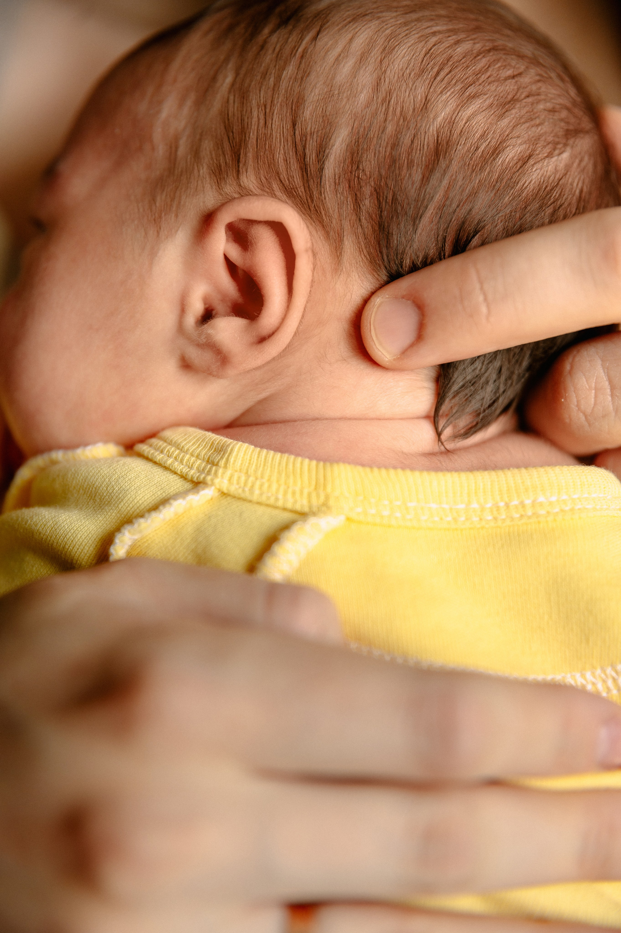 КАТЯ, КОЛЯ И ЗЛАТА. Шашкова Вероника / Свадебный и семейный фотограф Москва и Ярославль