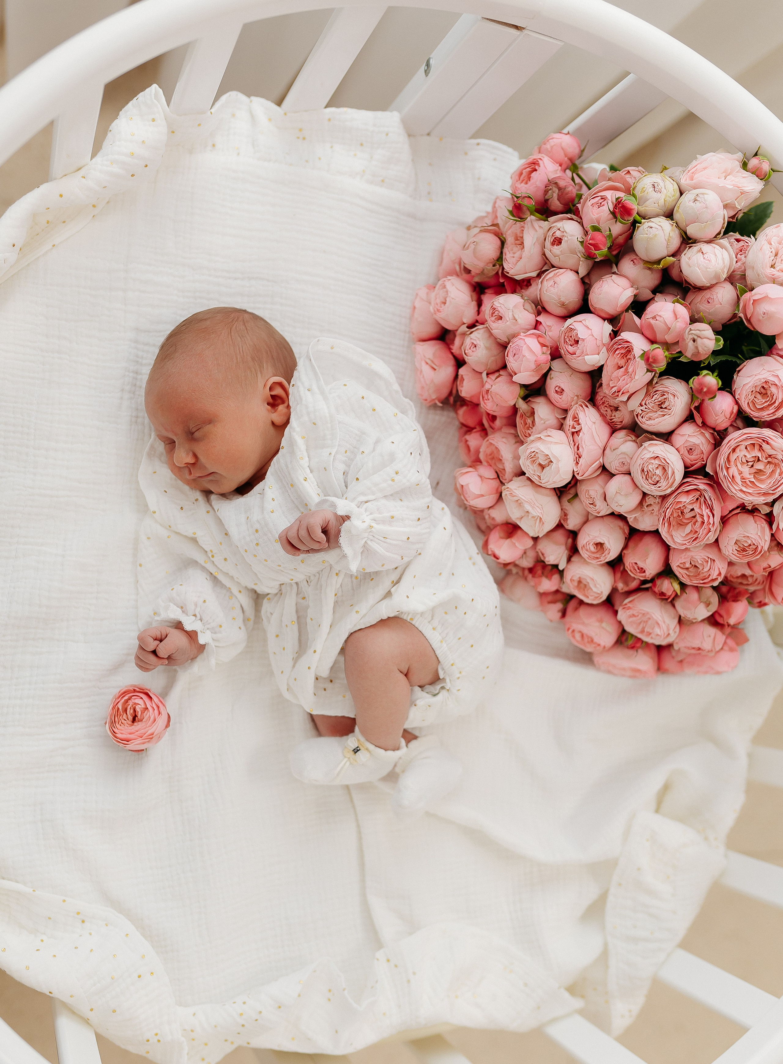 Выписка малыша. Meryfotoidea