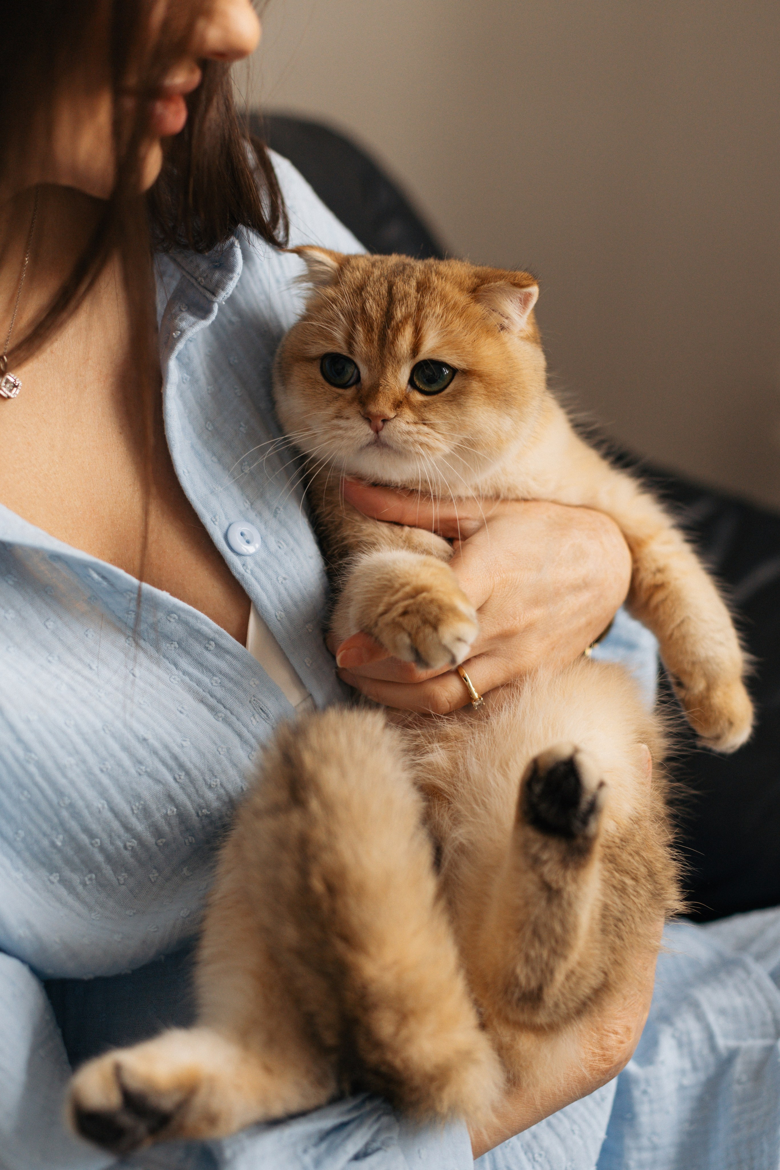 Фотосессия беременности с кошкой — фотограф Кристина Филимонова