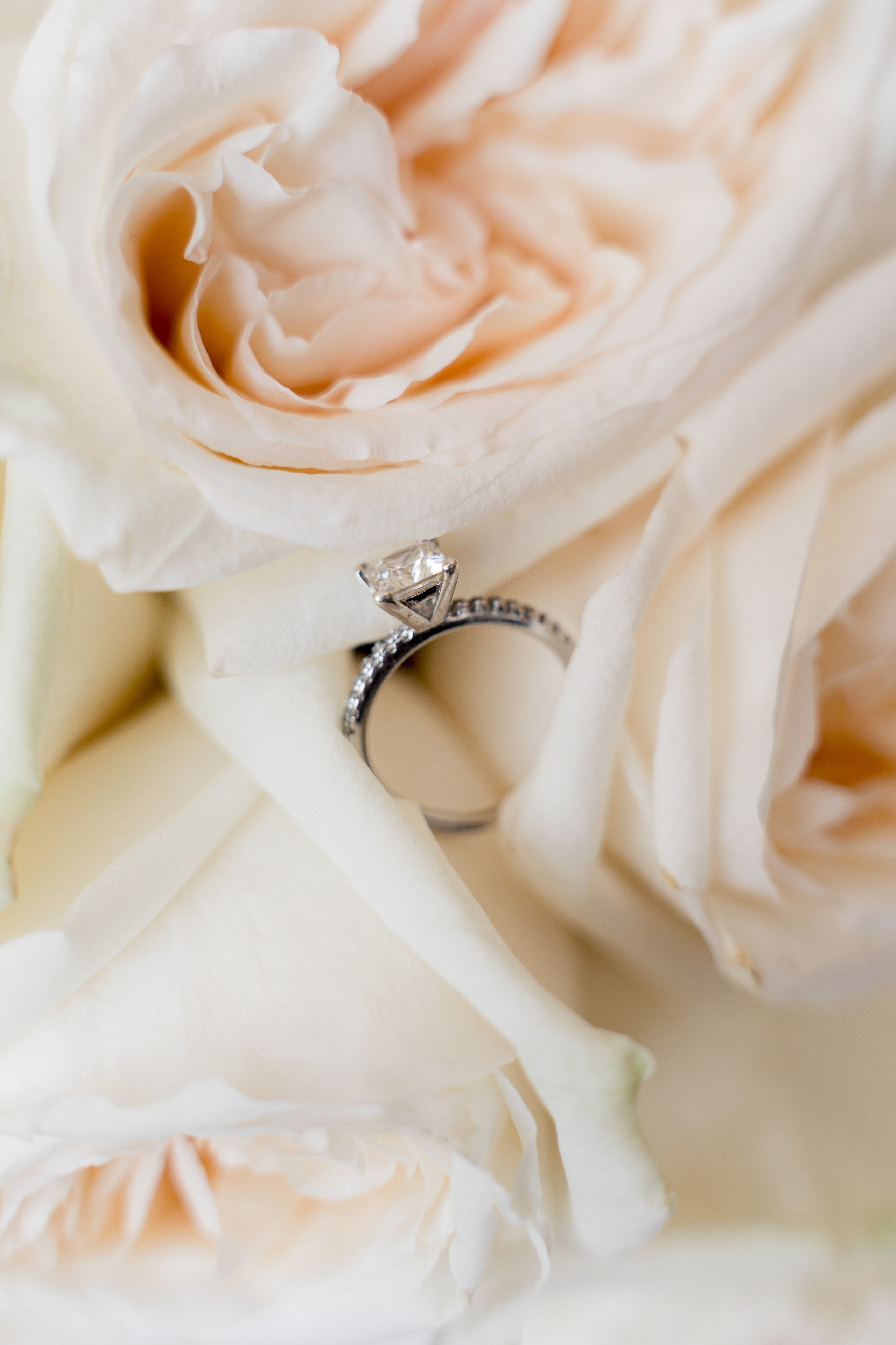 Свадебный фотограф в Краснодаре и Сочи — Никита Глухой