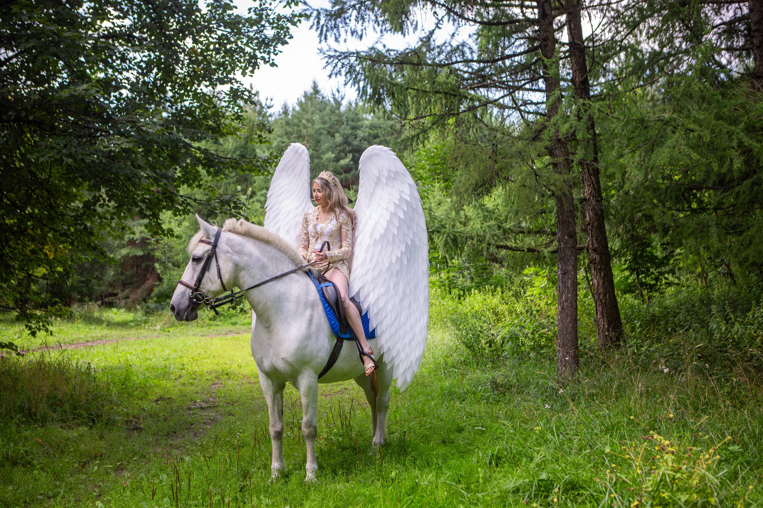 Прогулка на лошади. Репортажный, семейный, свадебный, портретный фотограф