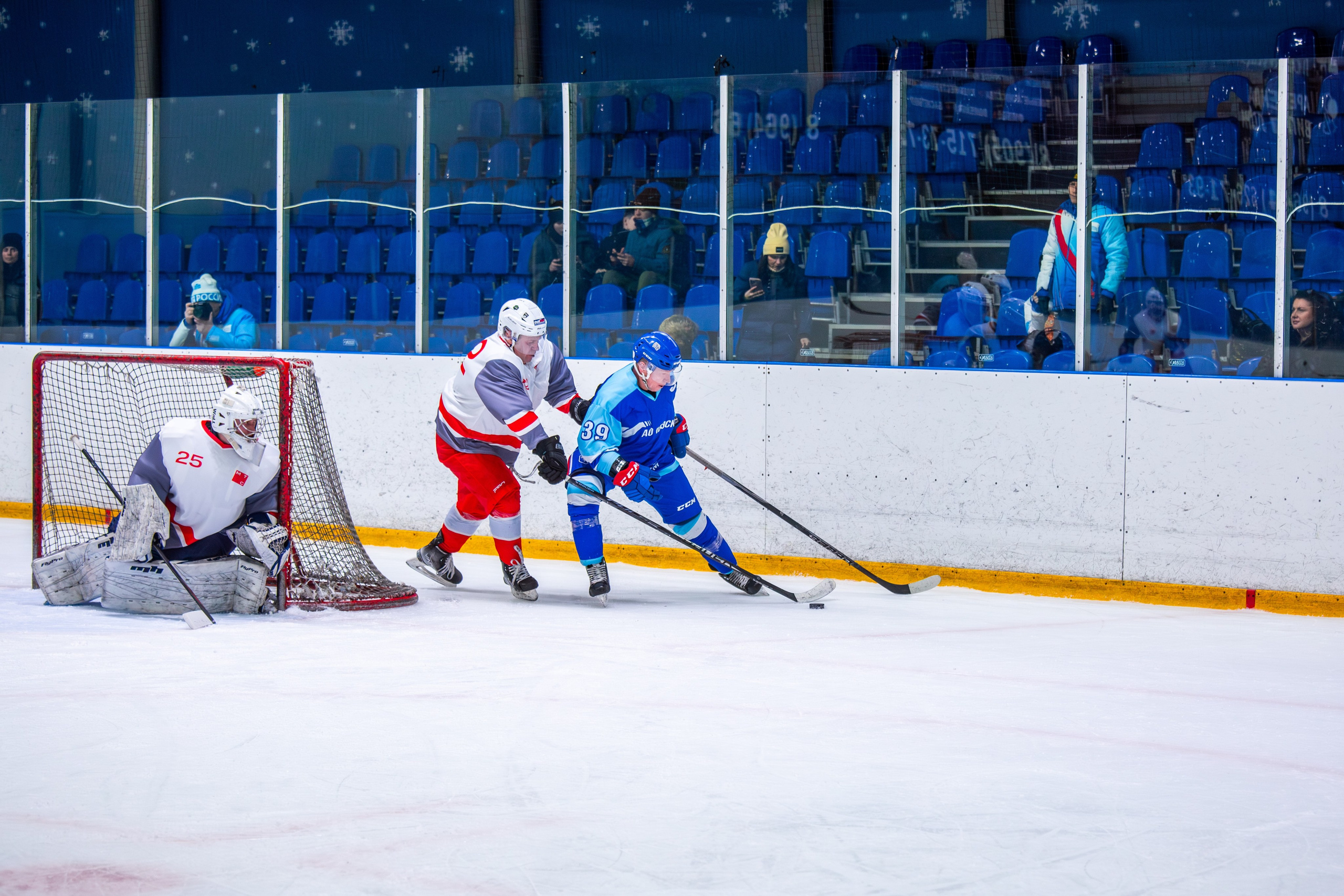 Чемпионат по хоккею. Репортажный, семейный, свадебный, портретный фотограф