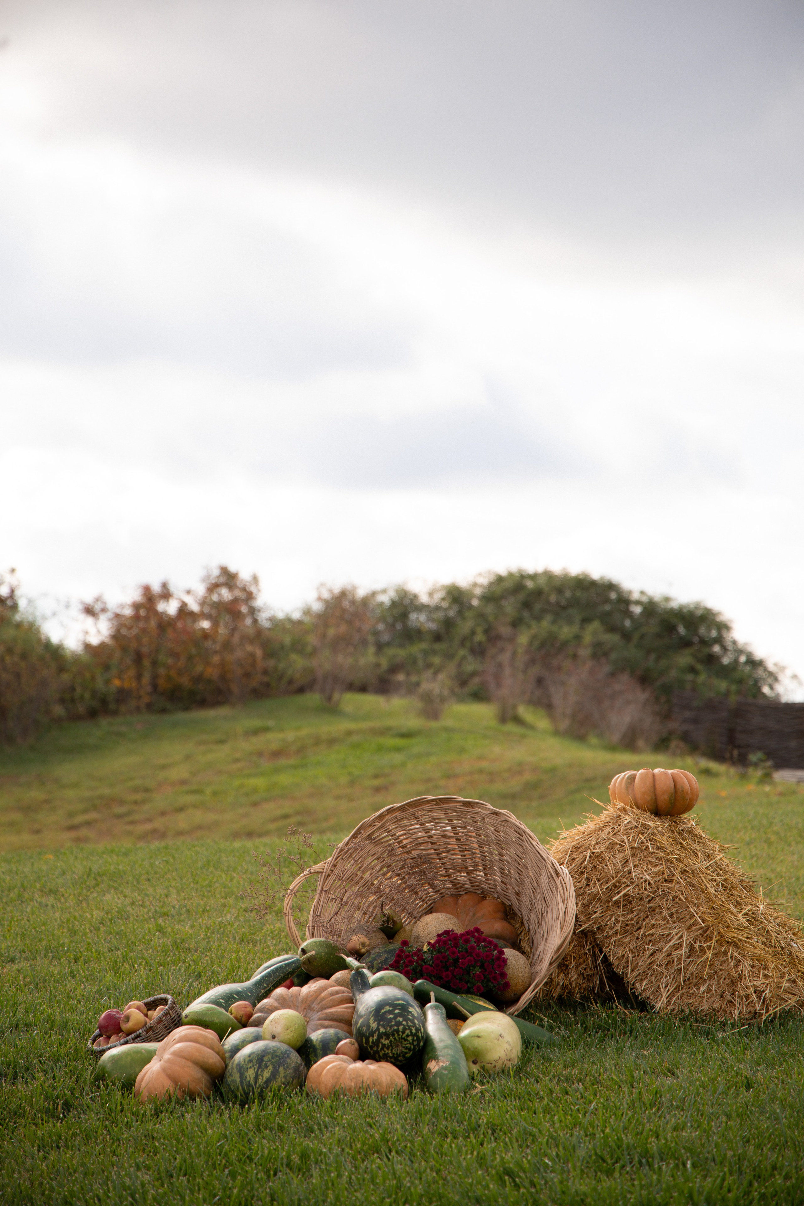 «Красностопъ Золотовский» третий винный фестиваль. Анна Рышкевич