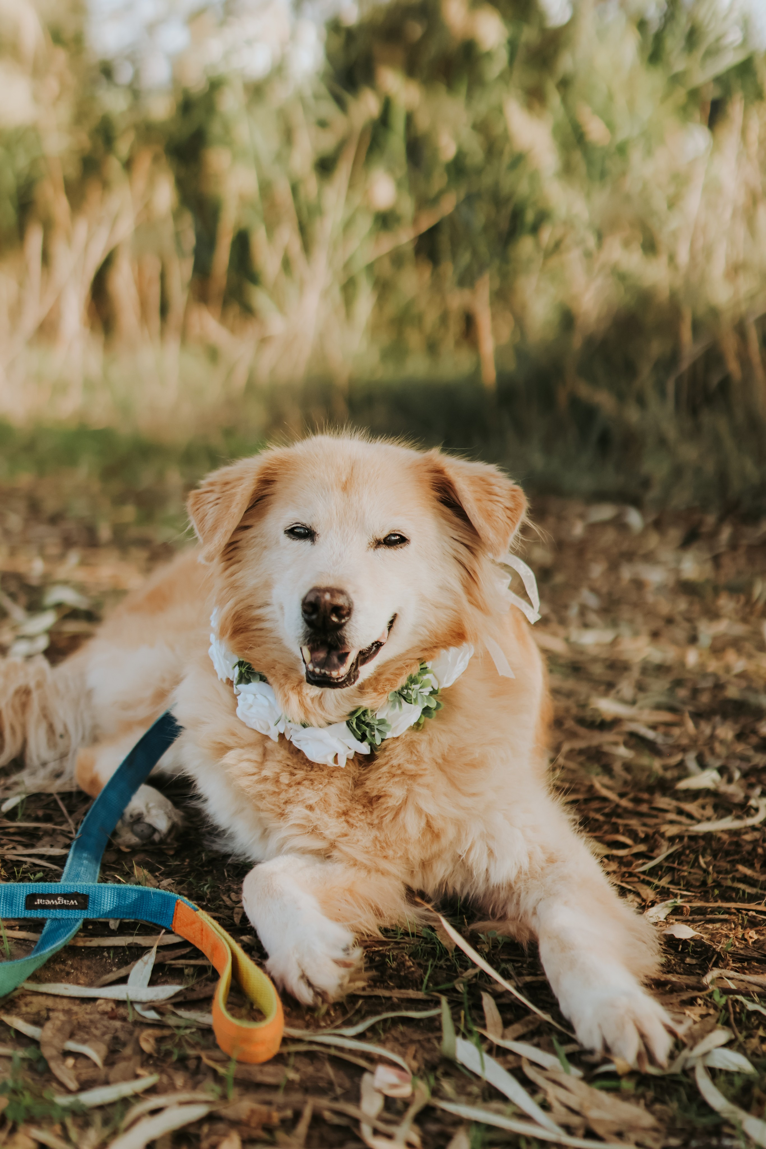 Sabrina's family, Tel Aviv | November 2025. Photographer in Israel Alice Milchin