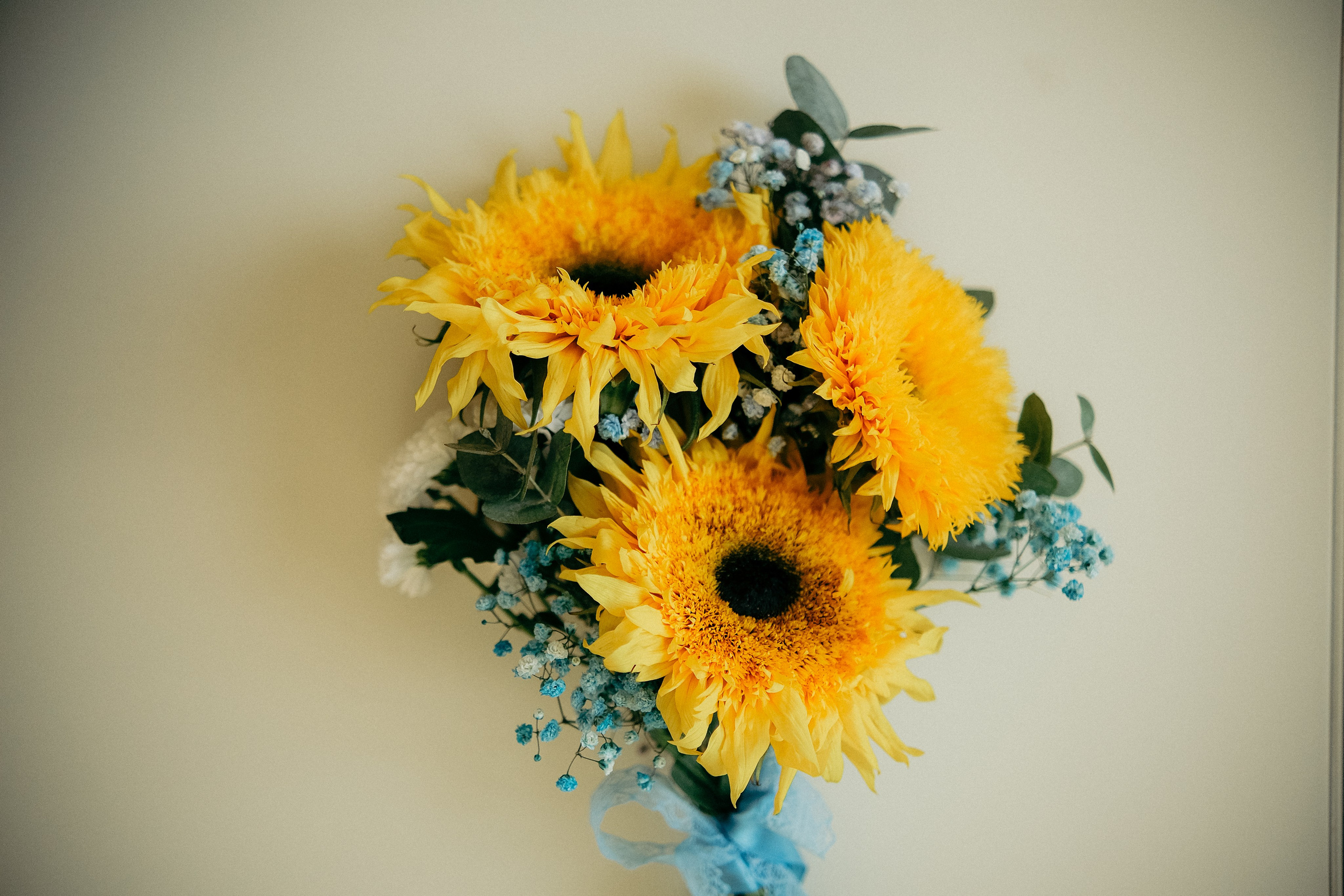 Марина & Слава. Загс Приморского р-на. Phdkvmr.ru