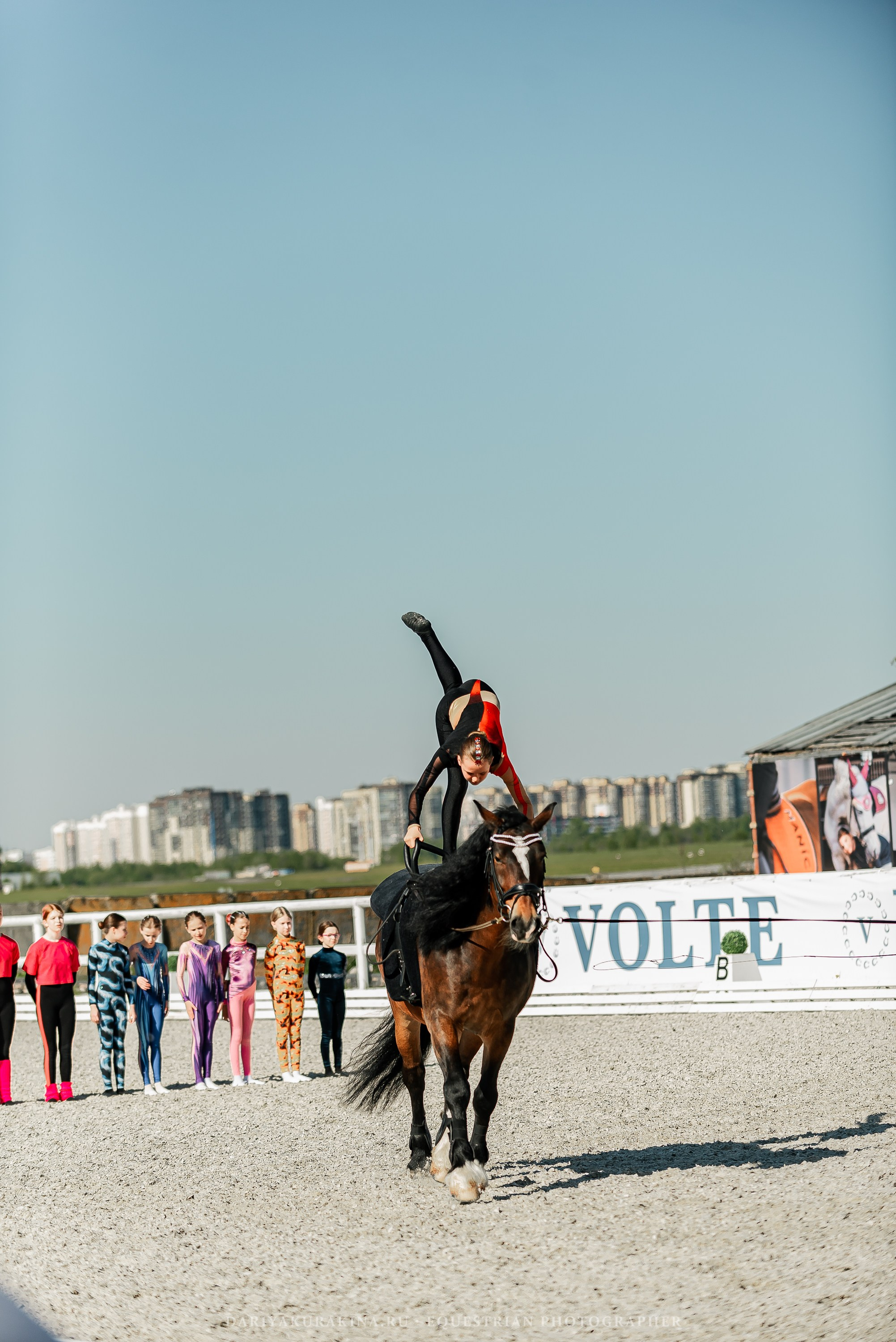 РЕПОРТАЖ МКК ВОЛЬТ «LA TULIPS». Конный фотограф Куракина Дарья • Фотосессии с лошадьми