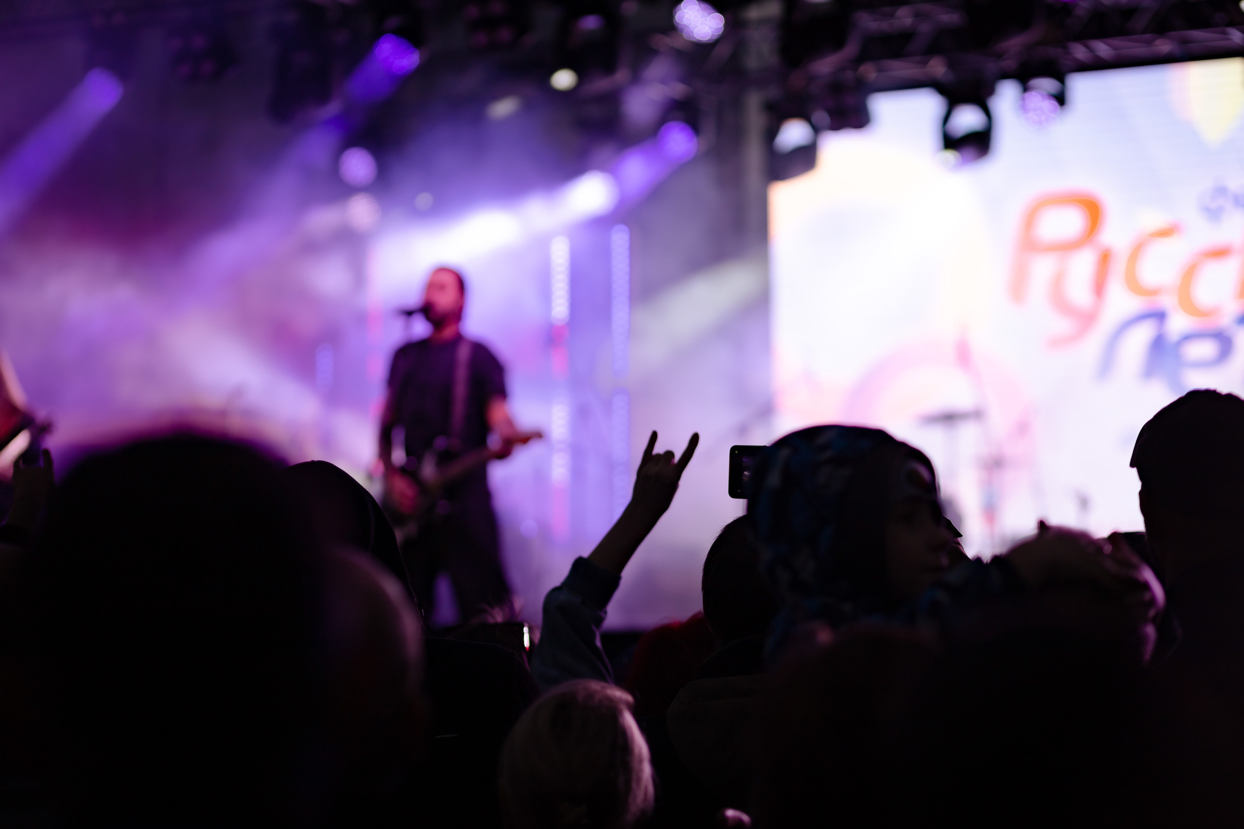 Фотосъемка концертов. Инна Карцева Свадебный фотограф Тольятти