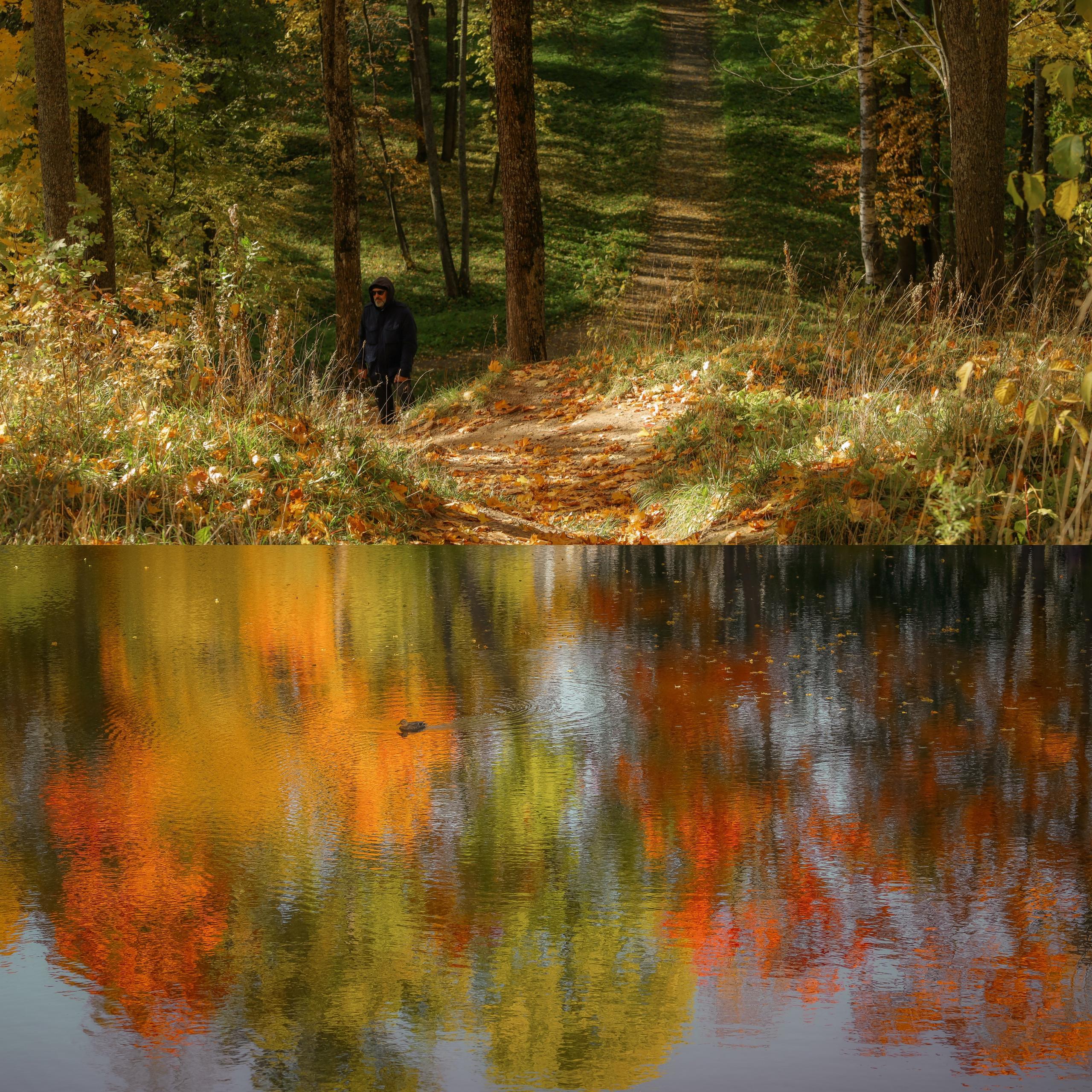 Природа &. Фотохудожник в СПб