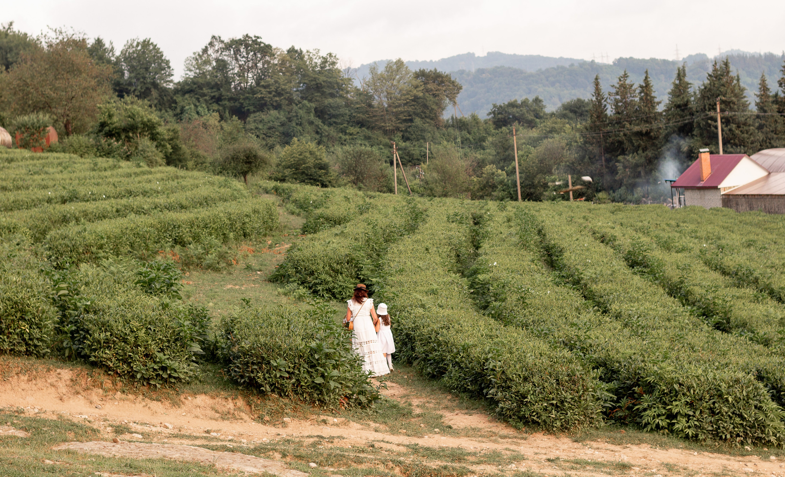 Мама с дочкой встречают закат в горах. Семейный фотограф в Сочи, Лоо, Дагомысе, Вардане Кучумова Олеся